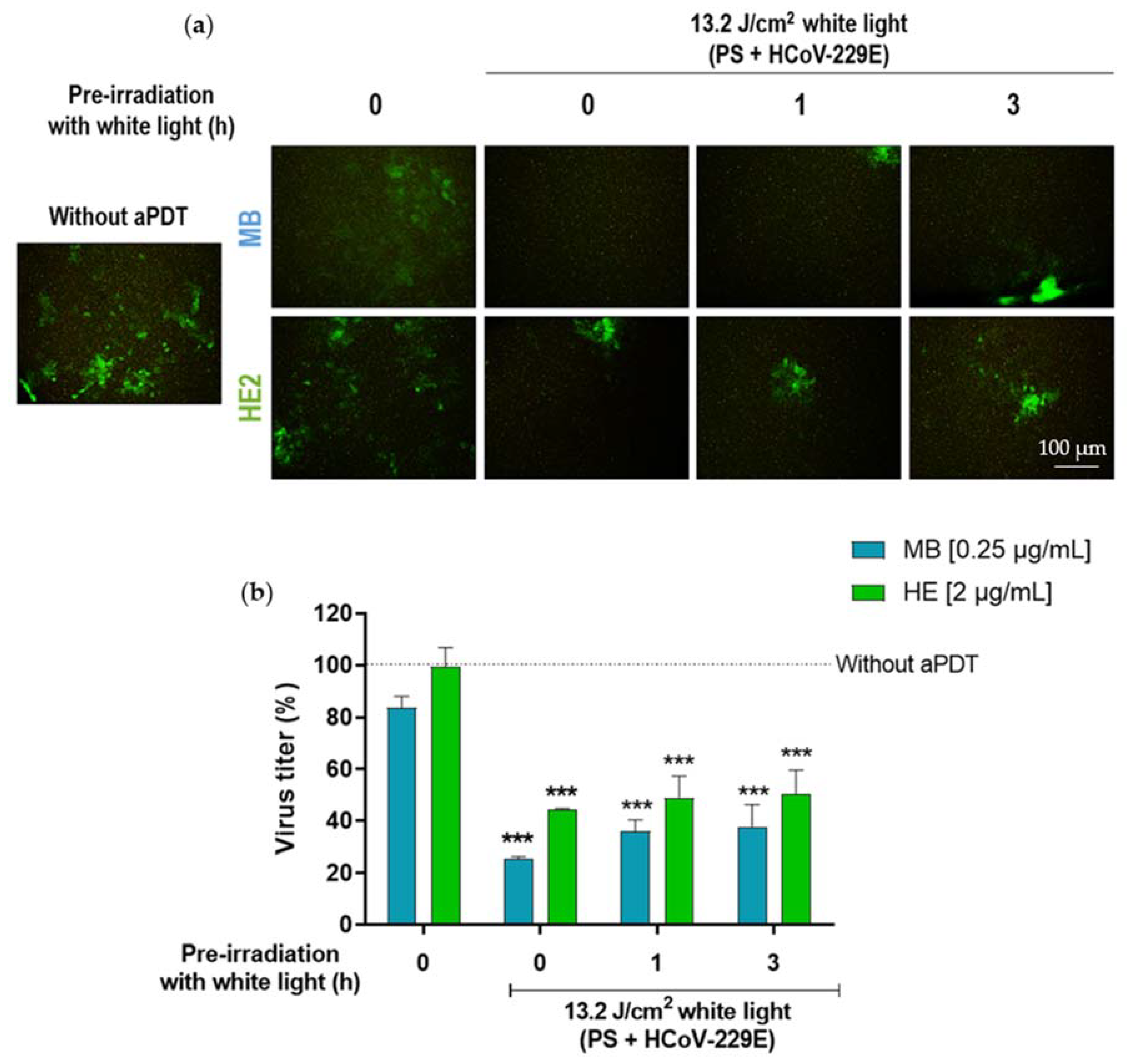 Pharmaceutics 14 02364 g006 Pharmaceutics 14 02364 g006