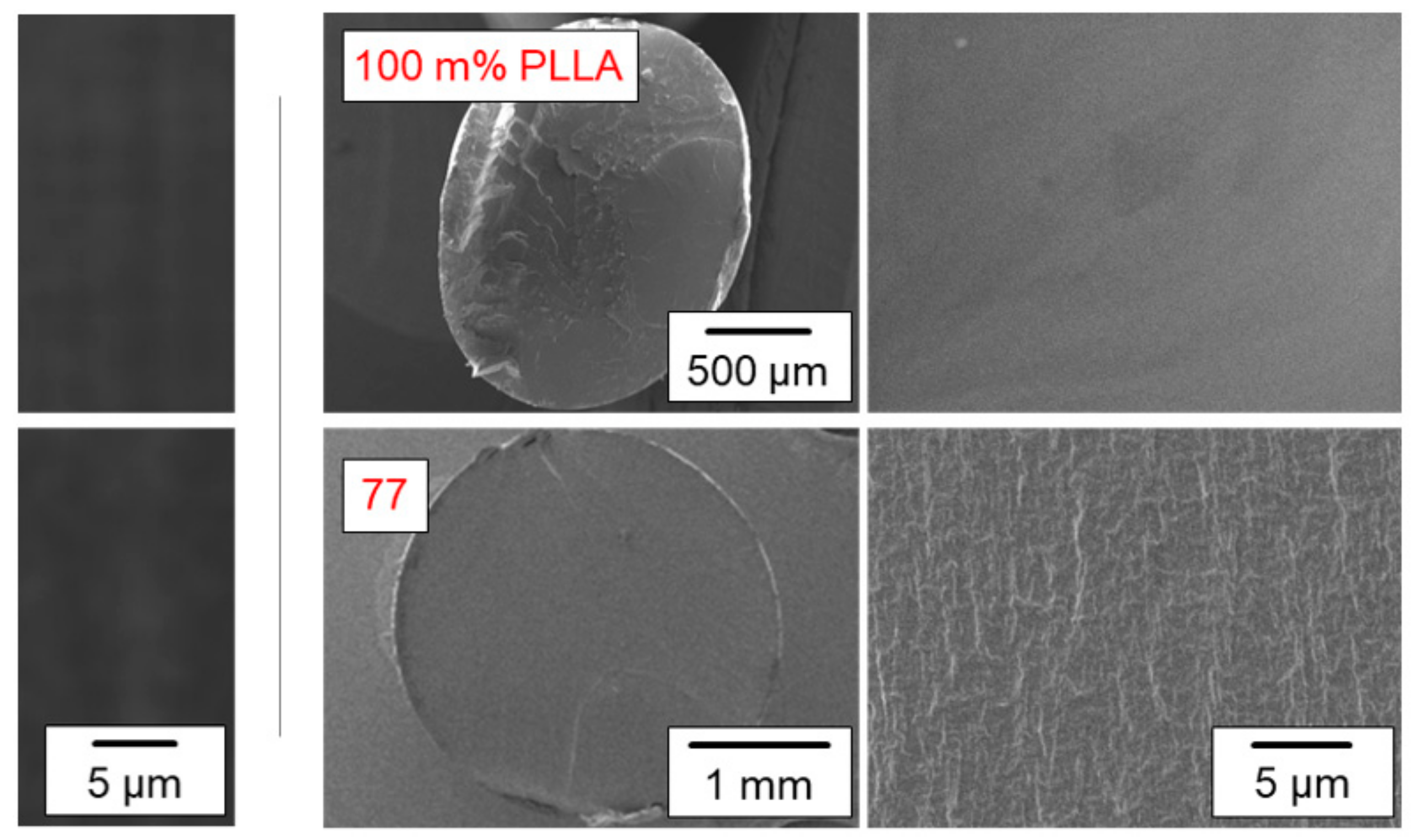 Pharmaceutics 14 02381 g002 Pharmaceutics 14 02381 g002