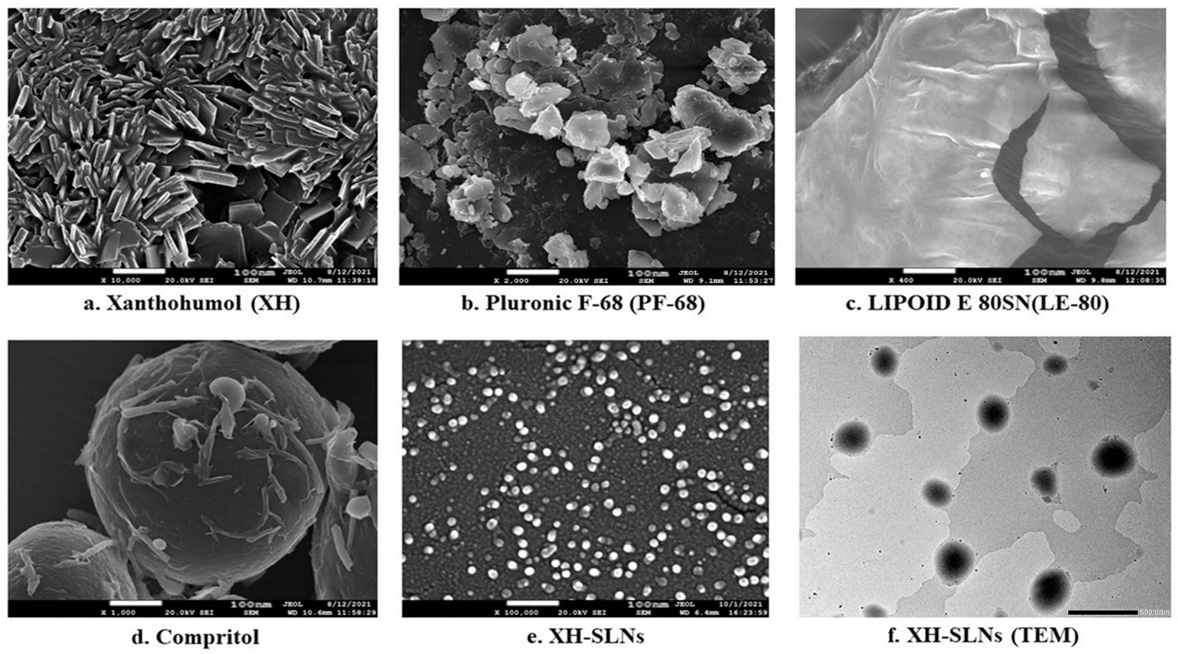 Pharmaceutics 14 02403 g008 Pharmaceutics 14 02403 g008