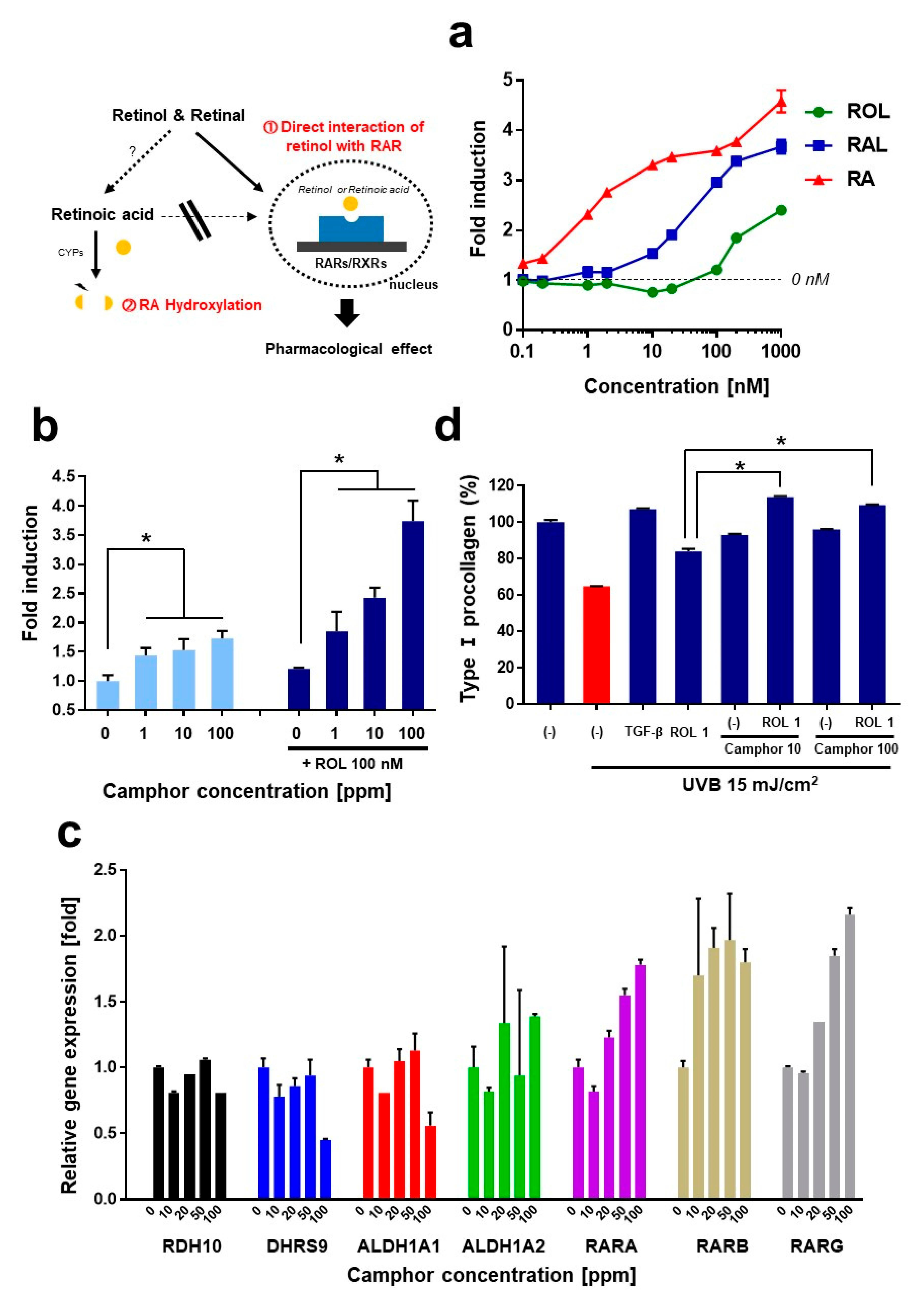 Pharmaceutics Free Full Text Enhancement of Efficacy of