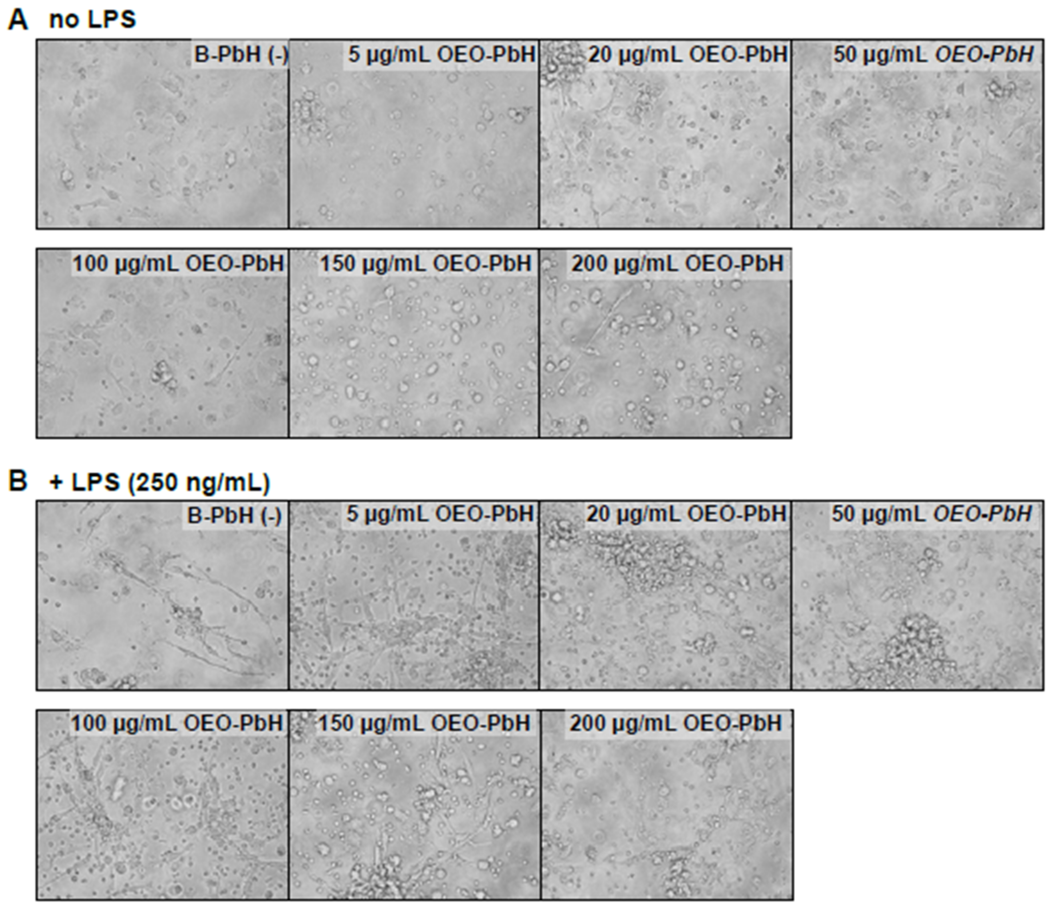 Pharmaceutics 14 02413 g008