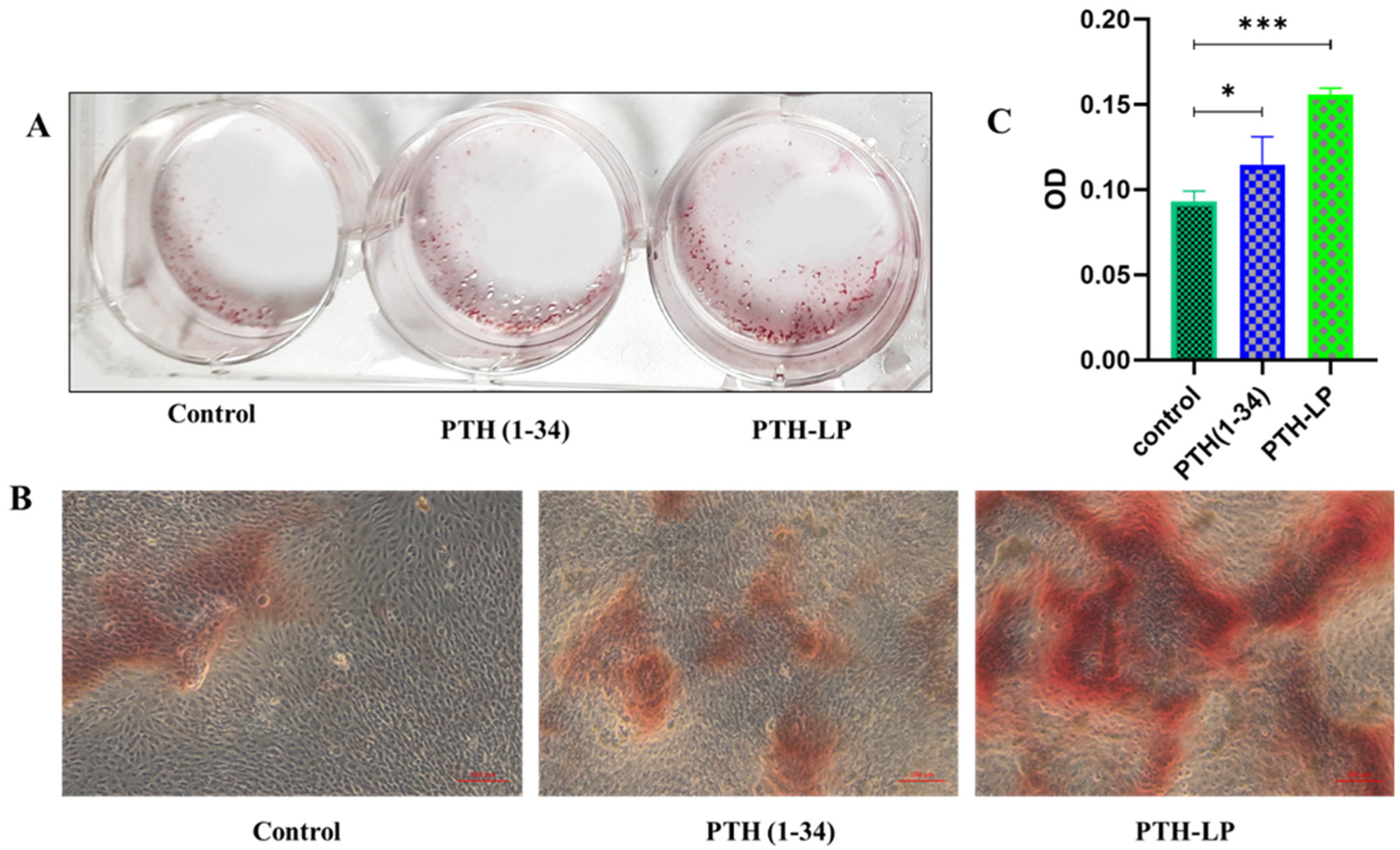 Pharmaceutics 14 02417 g009