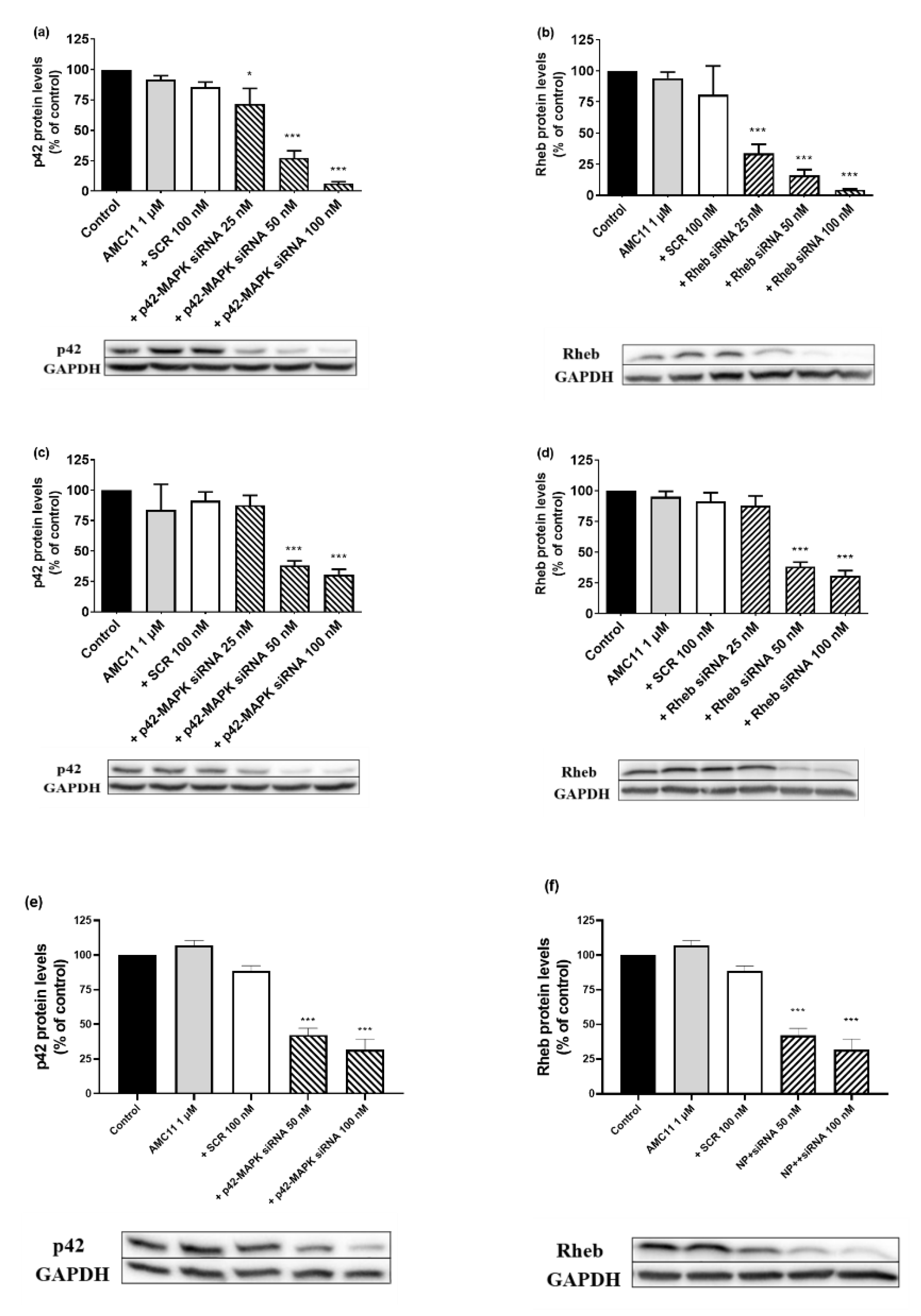 Pharmaceutics 14 02424 g004