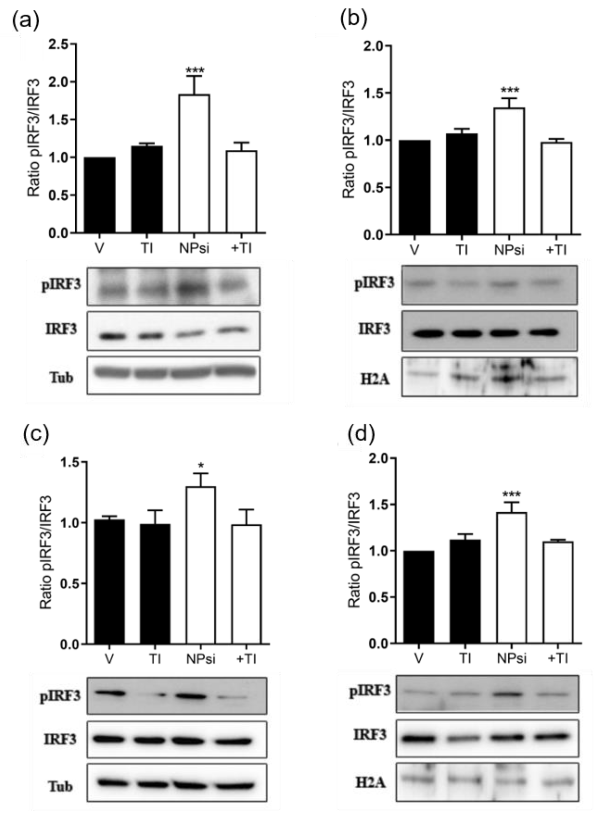 Pharmaceutics 14 02424 g007