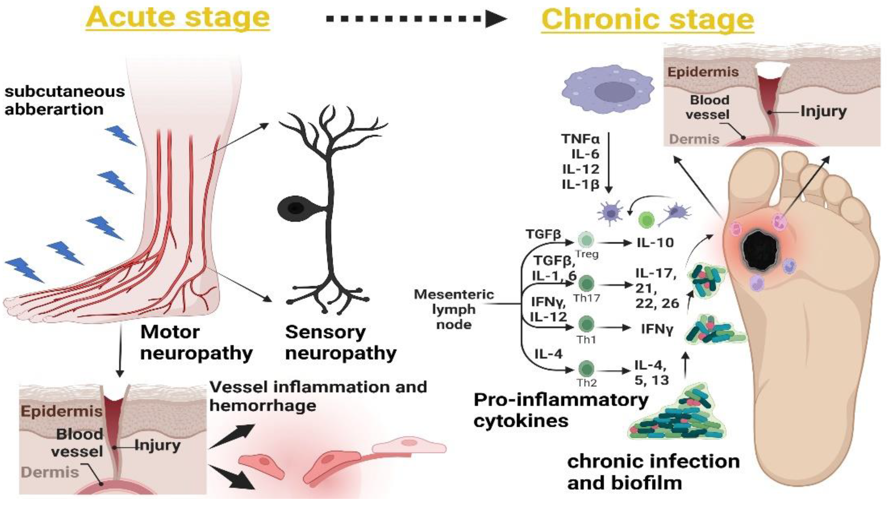 Pharmaceutics 14 02436 g001
