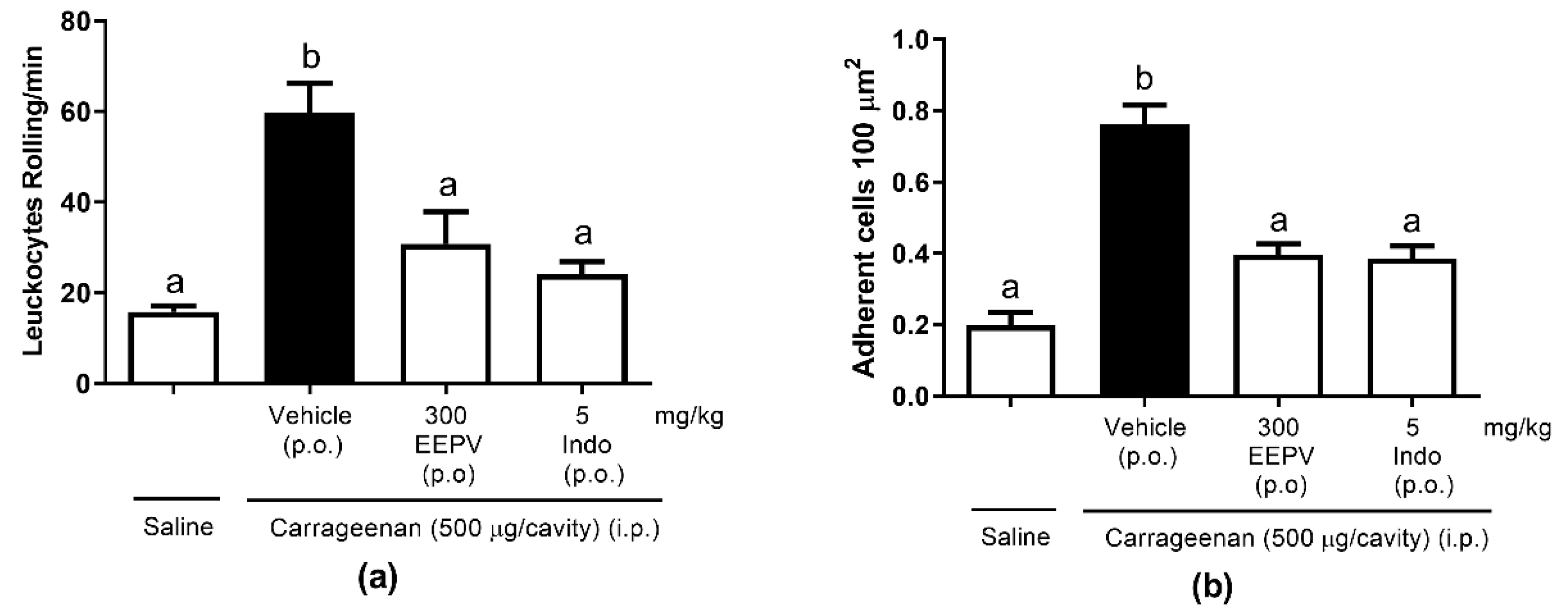 Pharmaceutics 14 02455 g006 Pharmaceutics 14 02455 g006