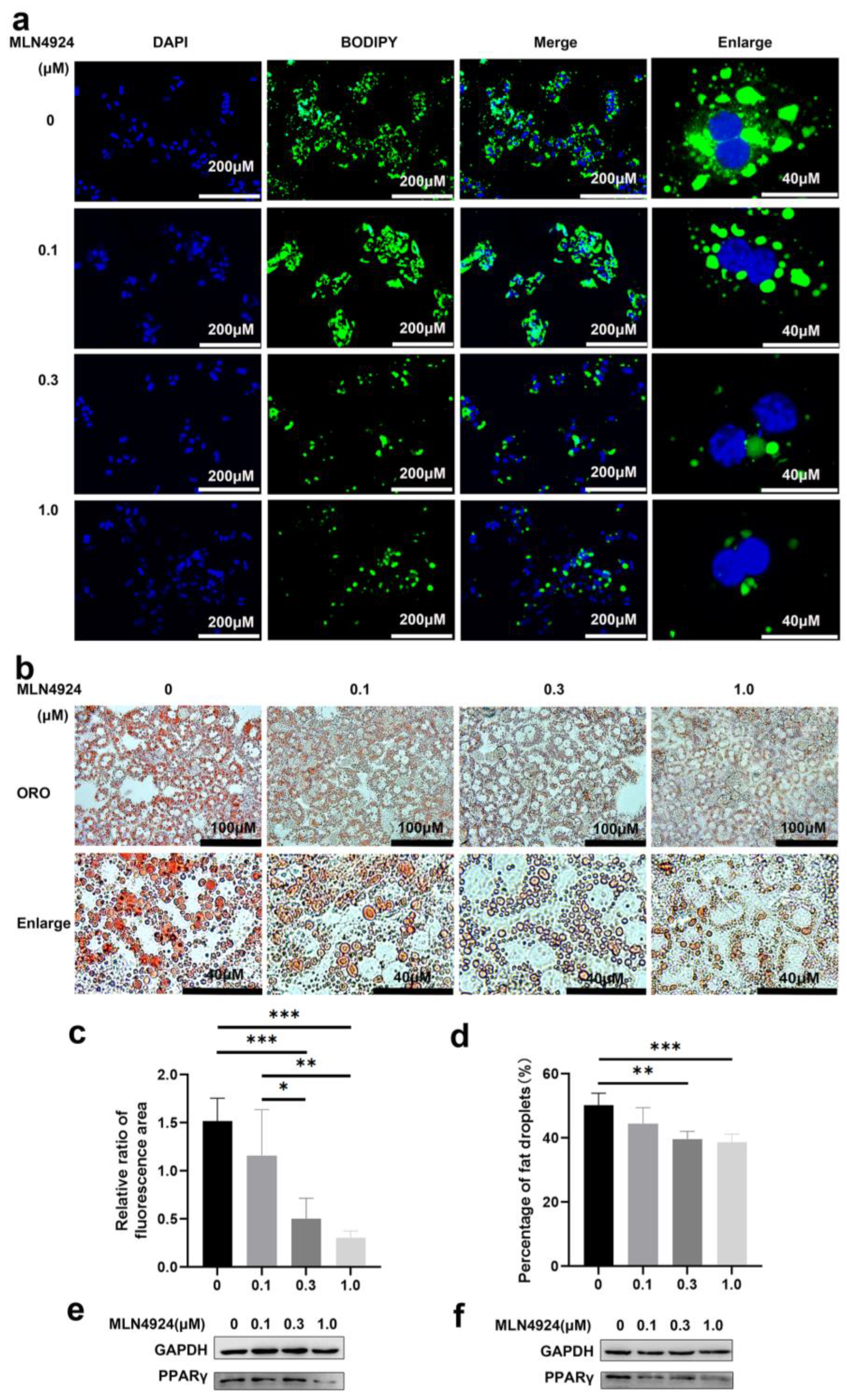 Pharmaceutics 14 02460 g002