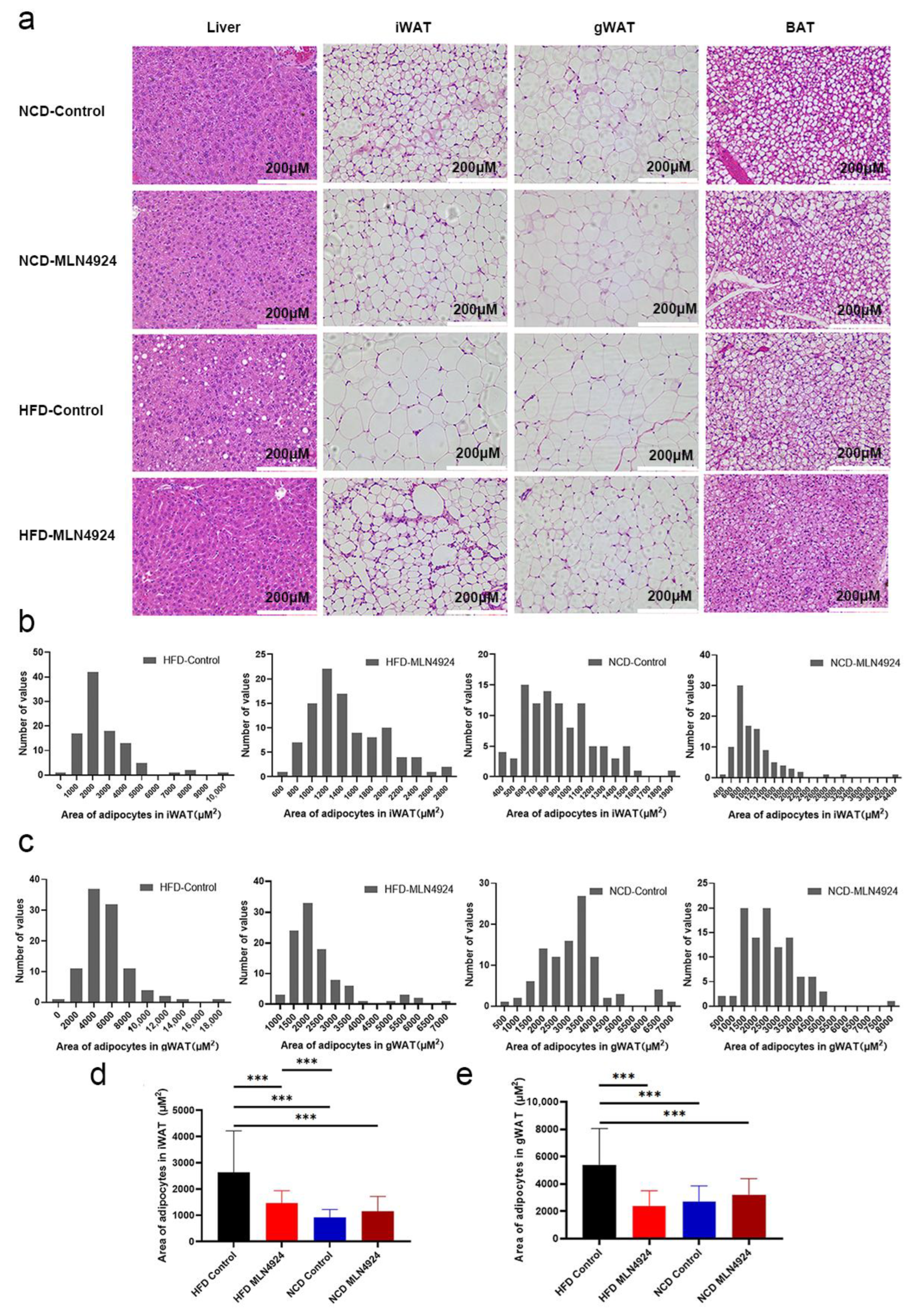 Pharmaceutics 14 02460 g004