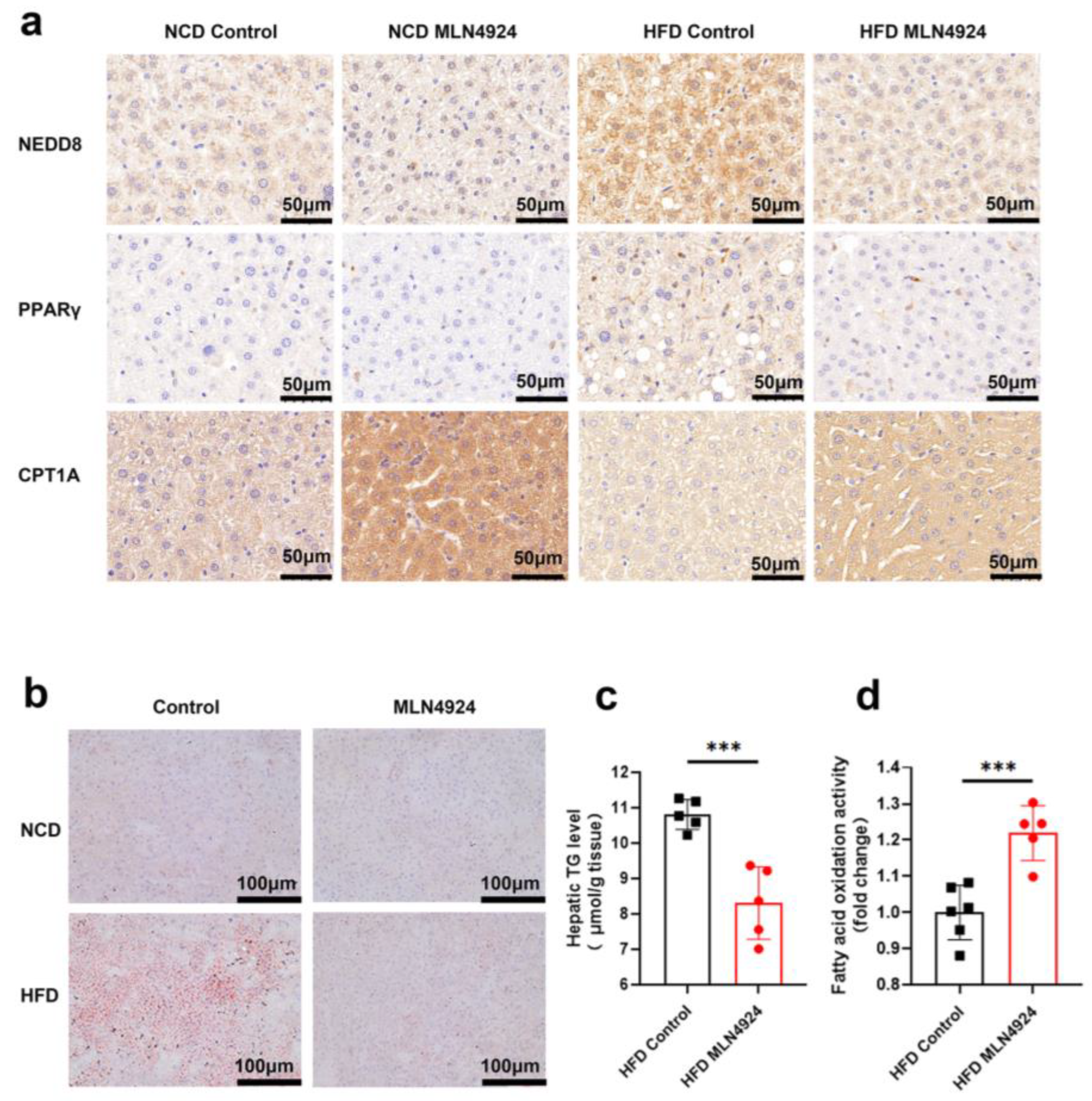 Pharmaceutics 14 02460 g006