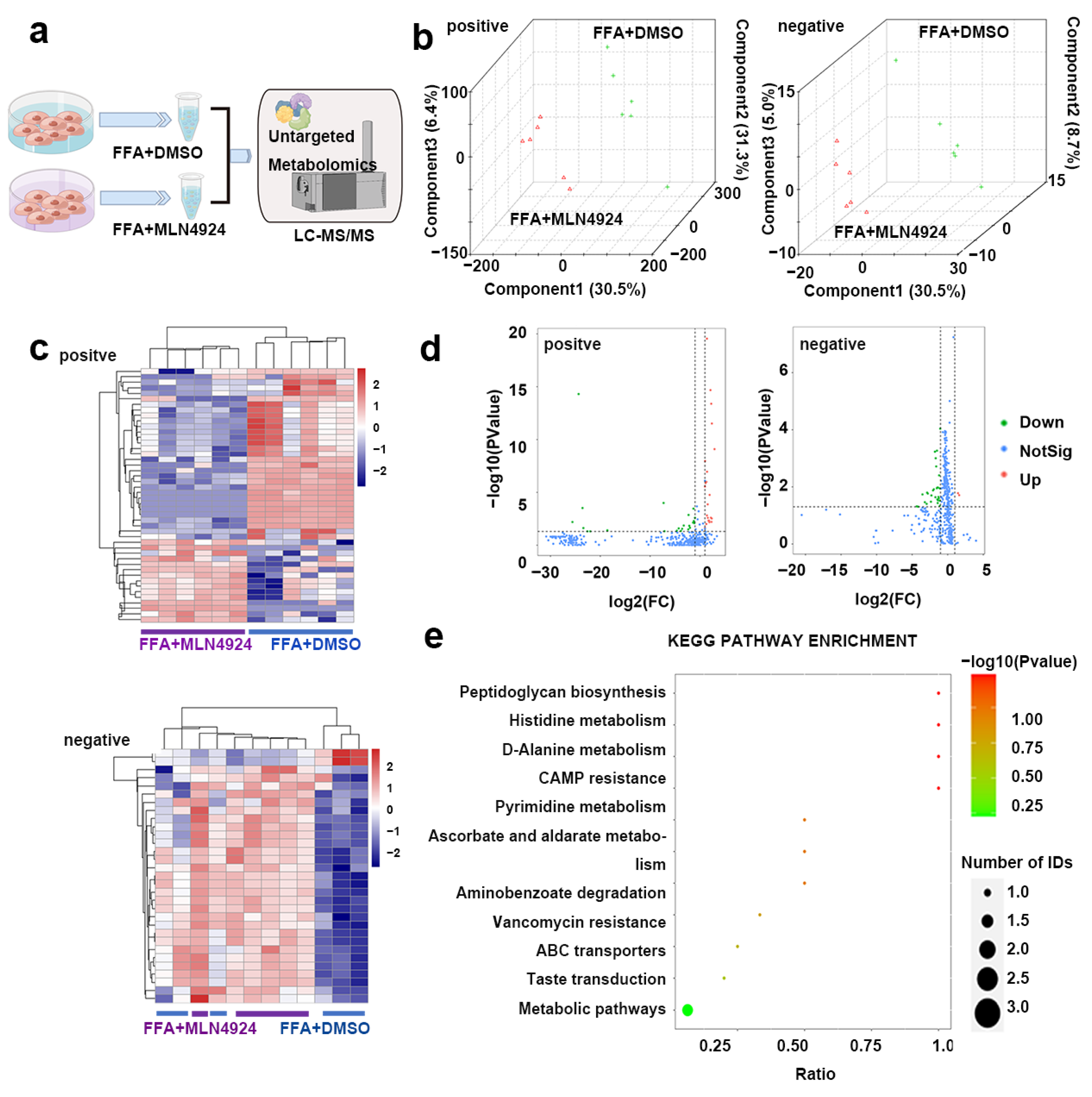 Pharmaceutics 14 02460 g007