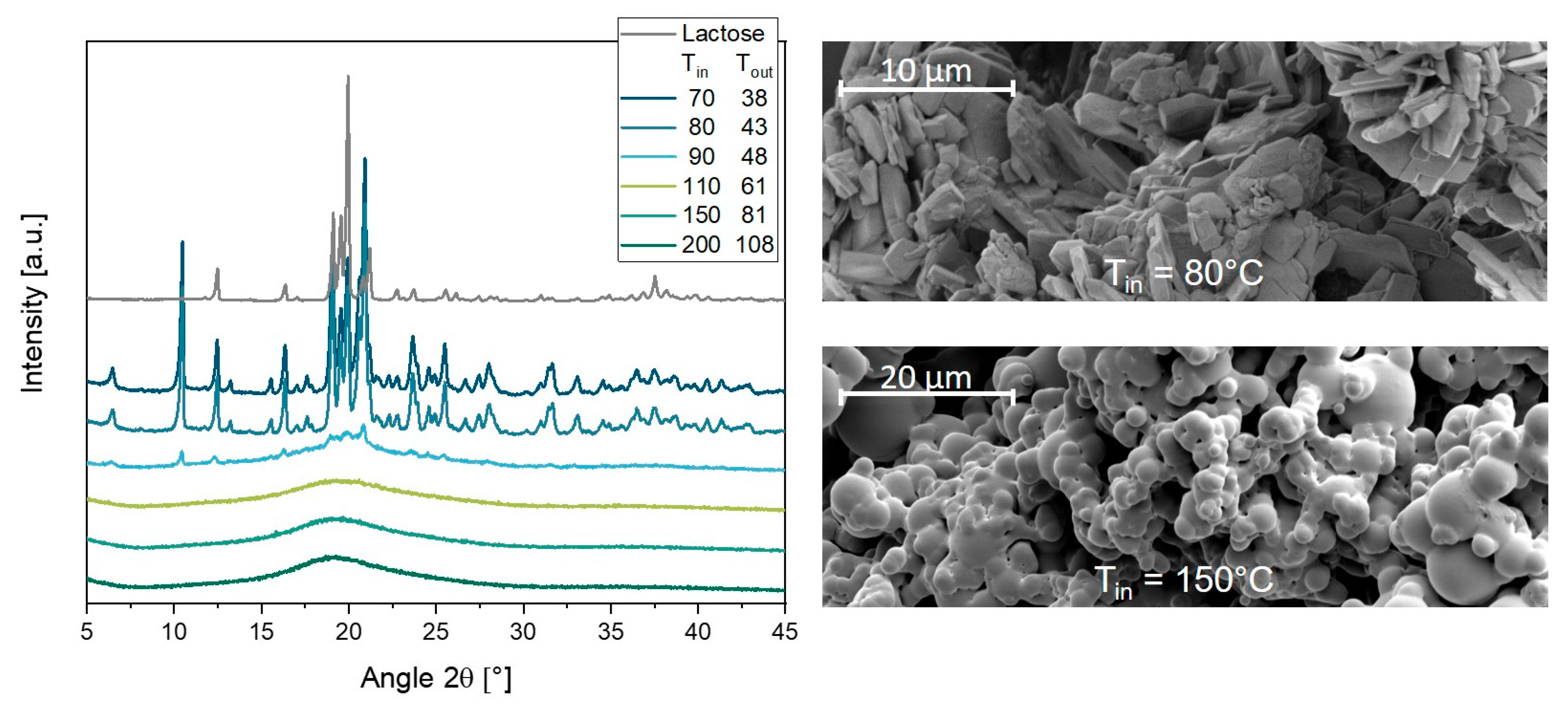 Pharmaceutics 14 02464 g008