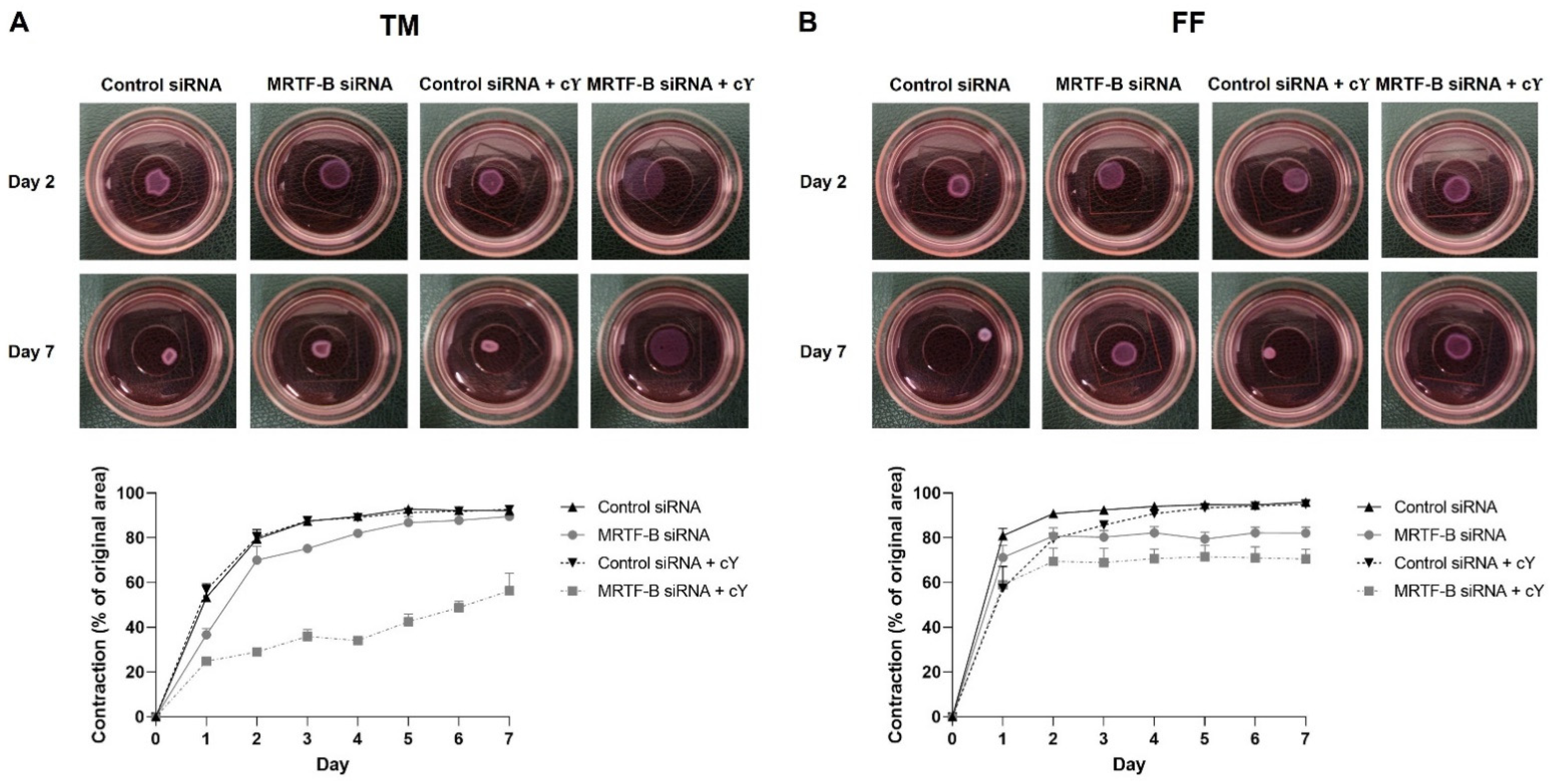 Pharmaceutics 14 02472 g006