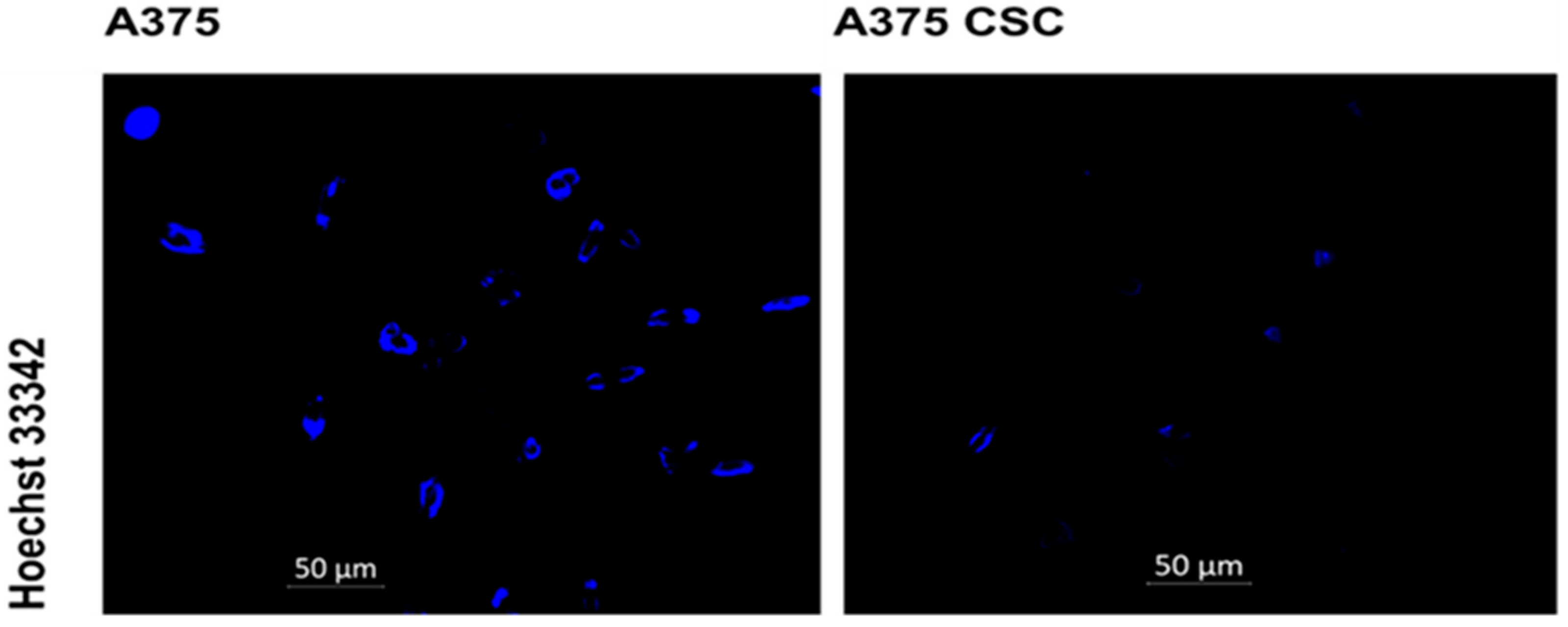 Pharmaceutics 14 02474 g004 Pharmaceutics 14 02474 g004