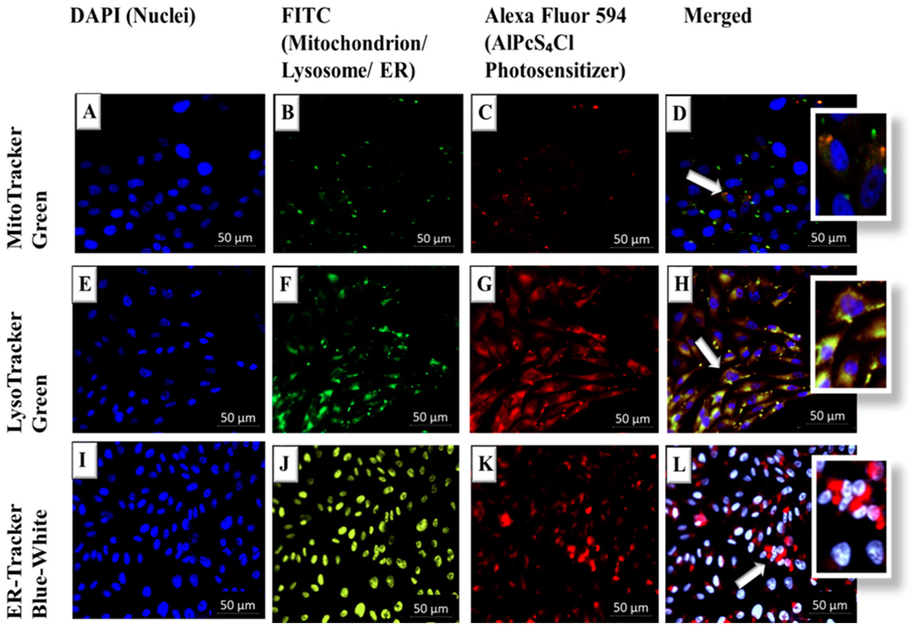 Pharmaceutics 14 02474 g005 Pharmaceutics 14 02474 g005