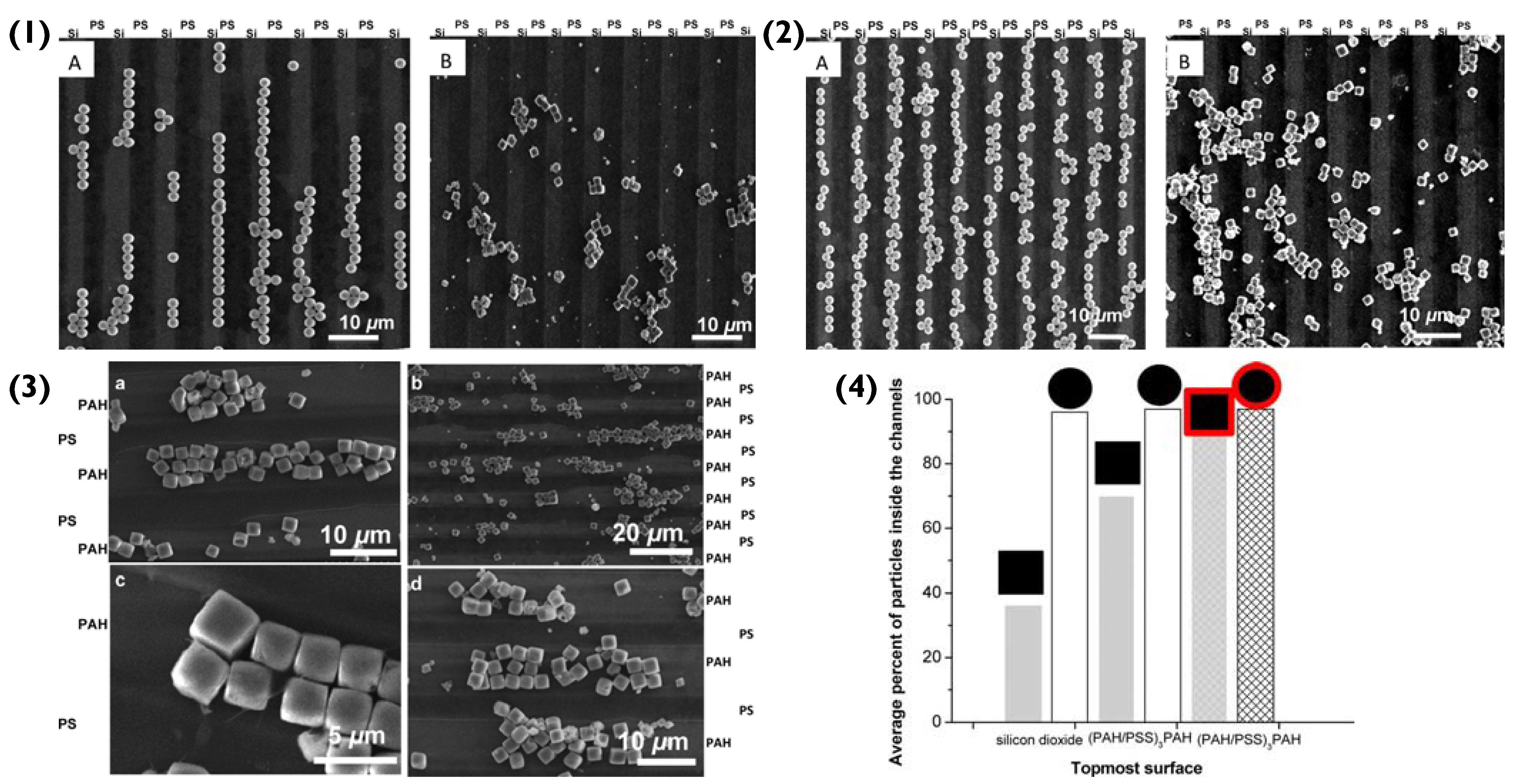 Pharmaceutics 14 02483 g004
