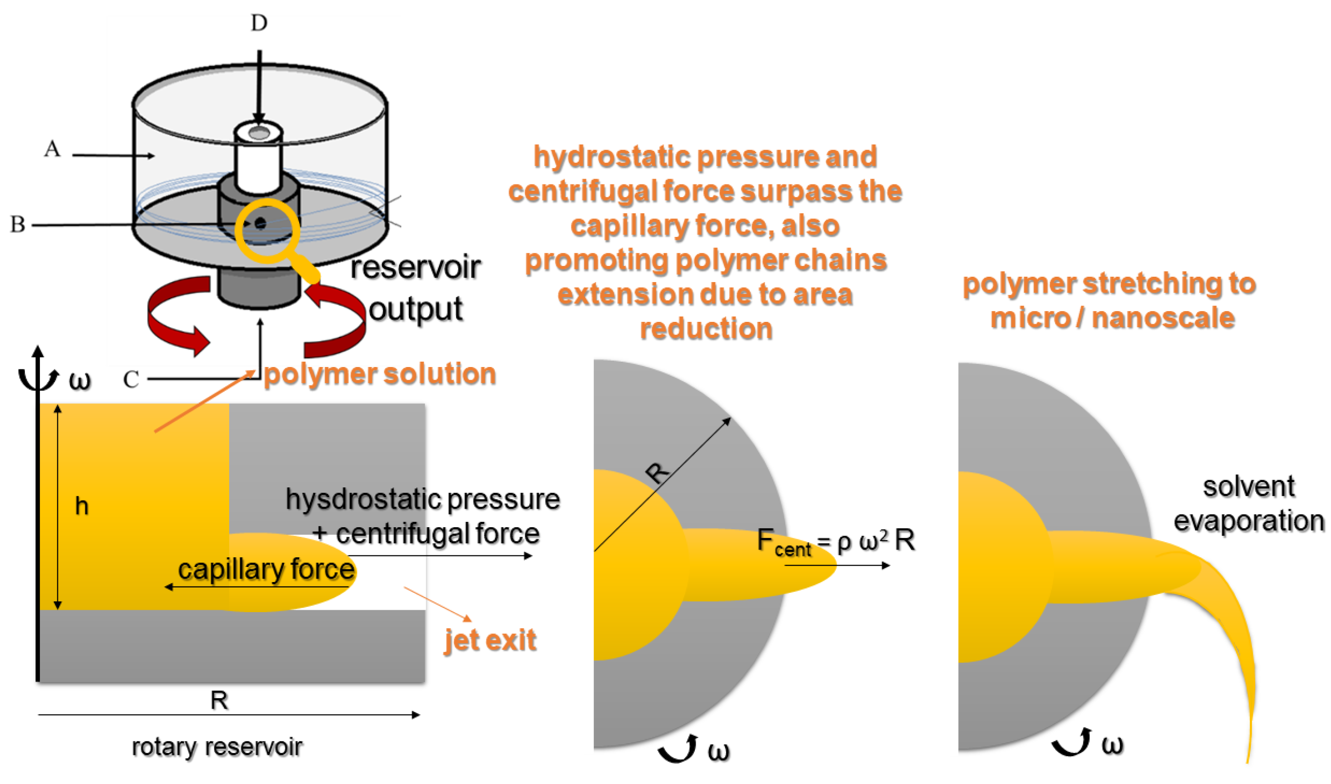Pharmaceutics 14 02500 g004