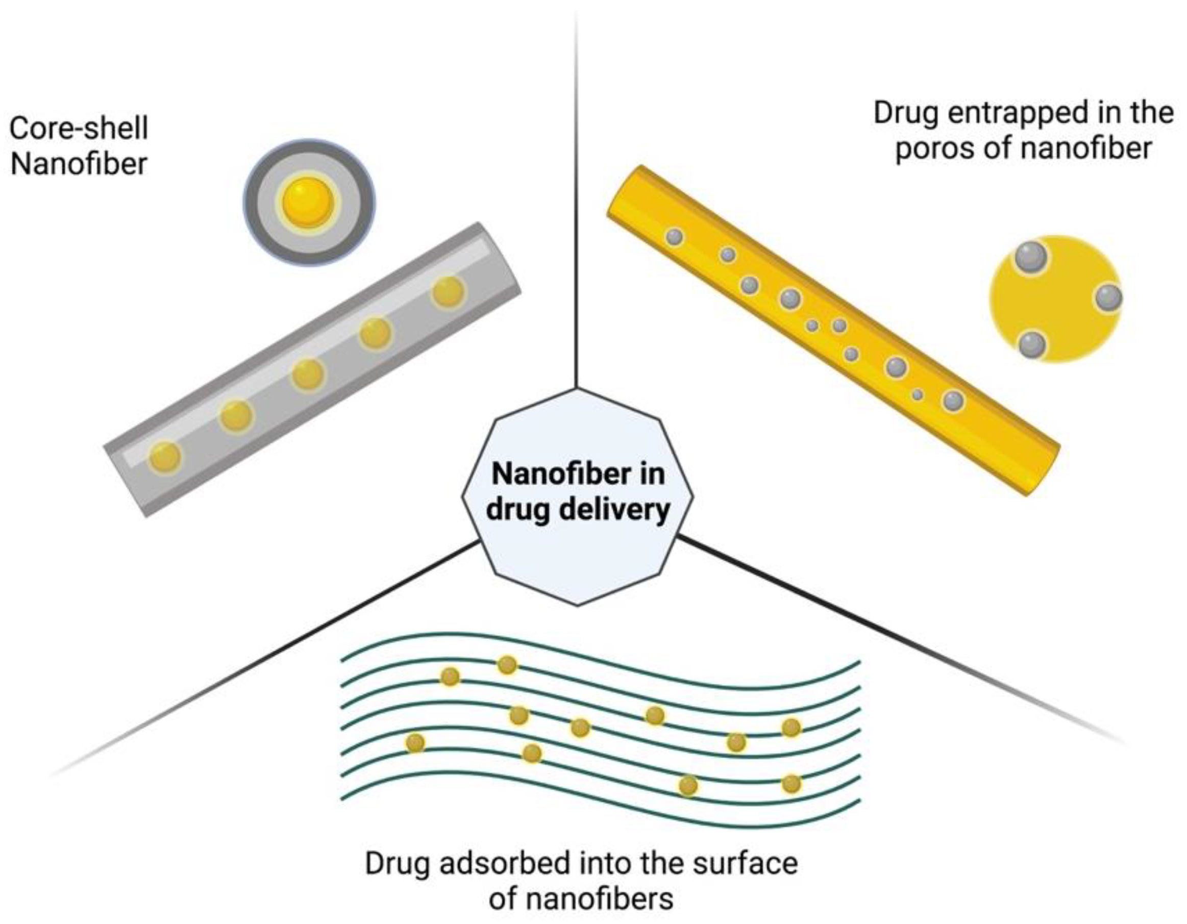 Pharmaceutics 14 02500 g008