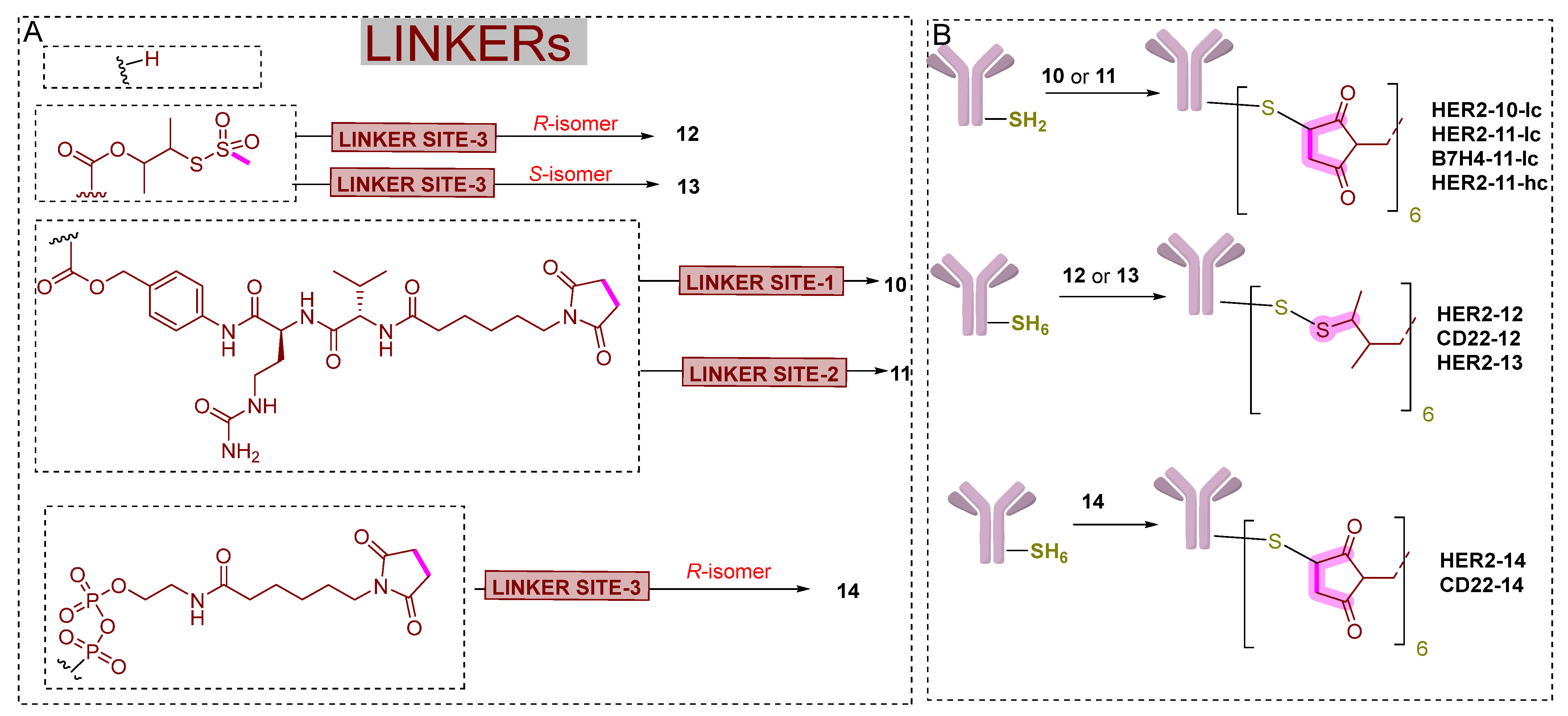 Pharmaceutics 14 02523 g019 Pharmaceutics 14 02523 g019