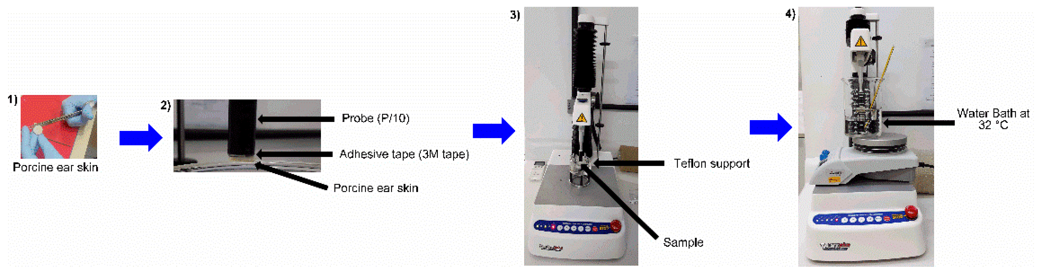 Pharmaceutics 14 02525 g003