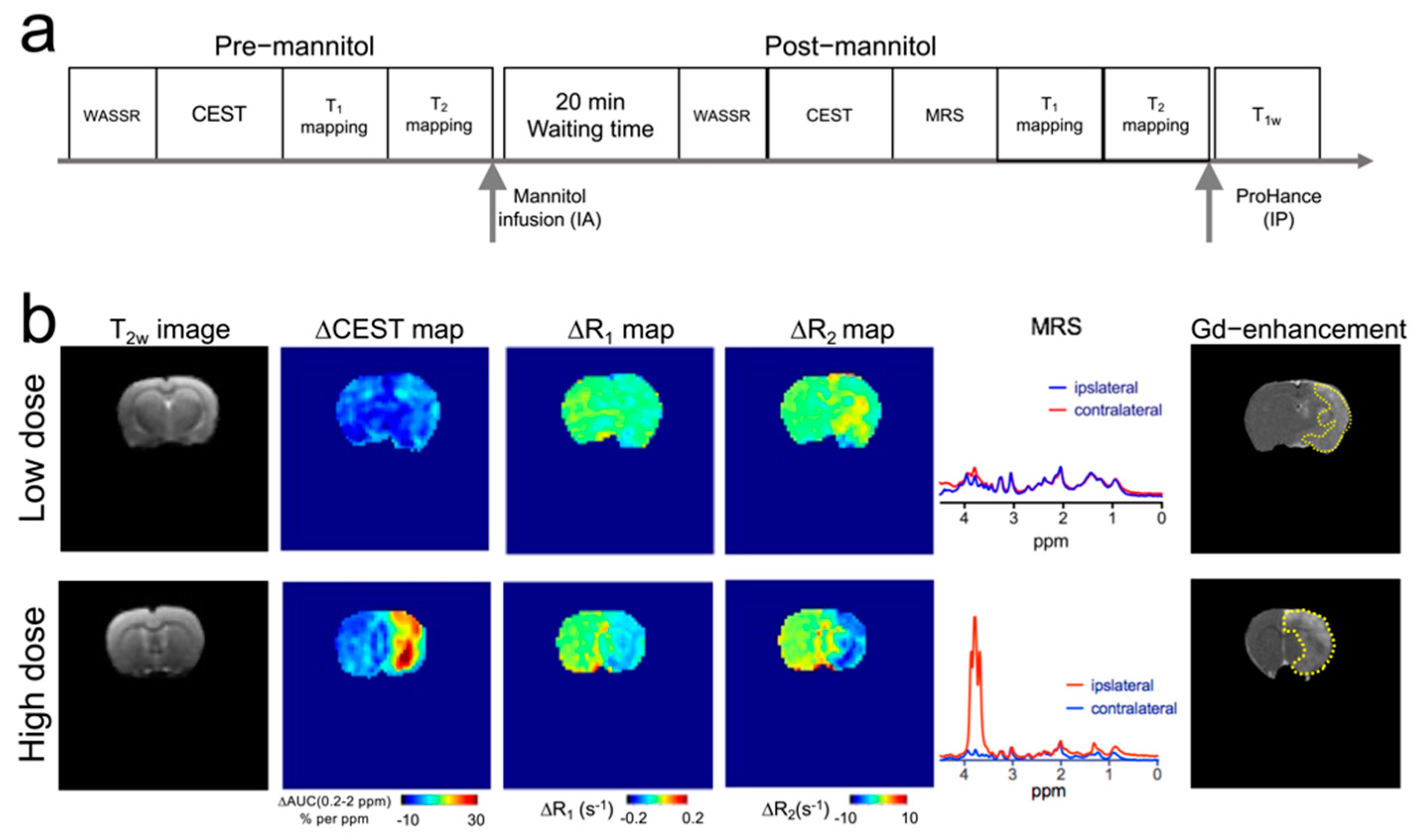 Pharmaceutics 14 02529 g004