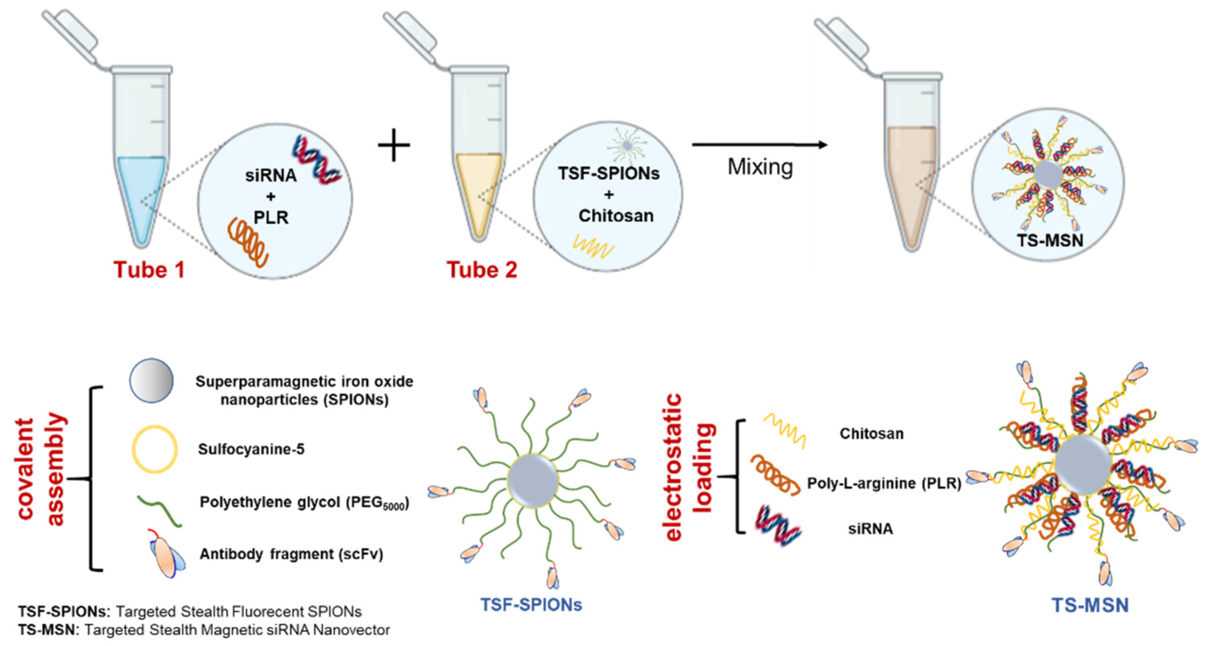Pharmaceutics 14 02537 g001 Pharmaceutics 14 02537 g001