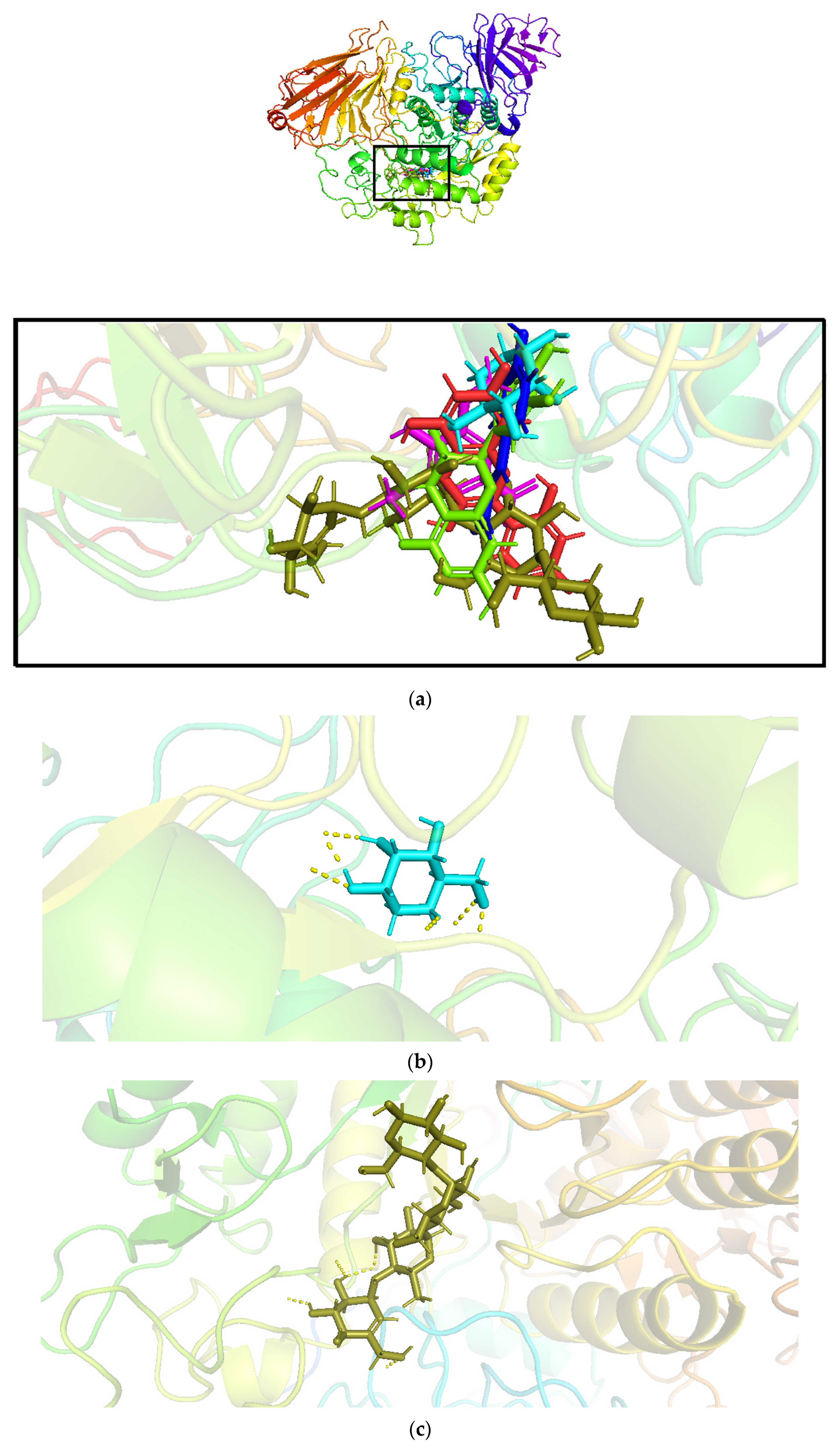 Pharmaceutics 14 02578 g002a