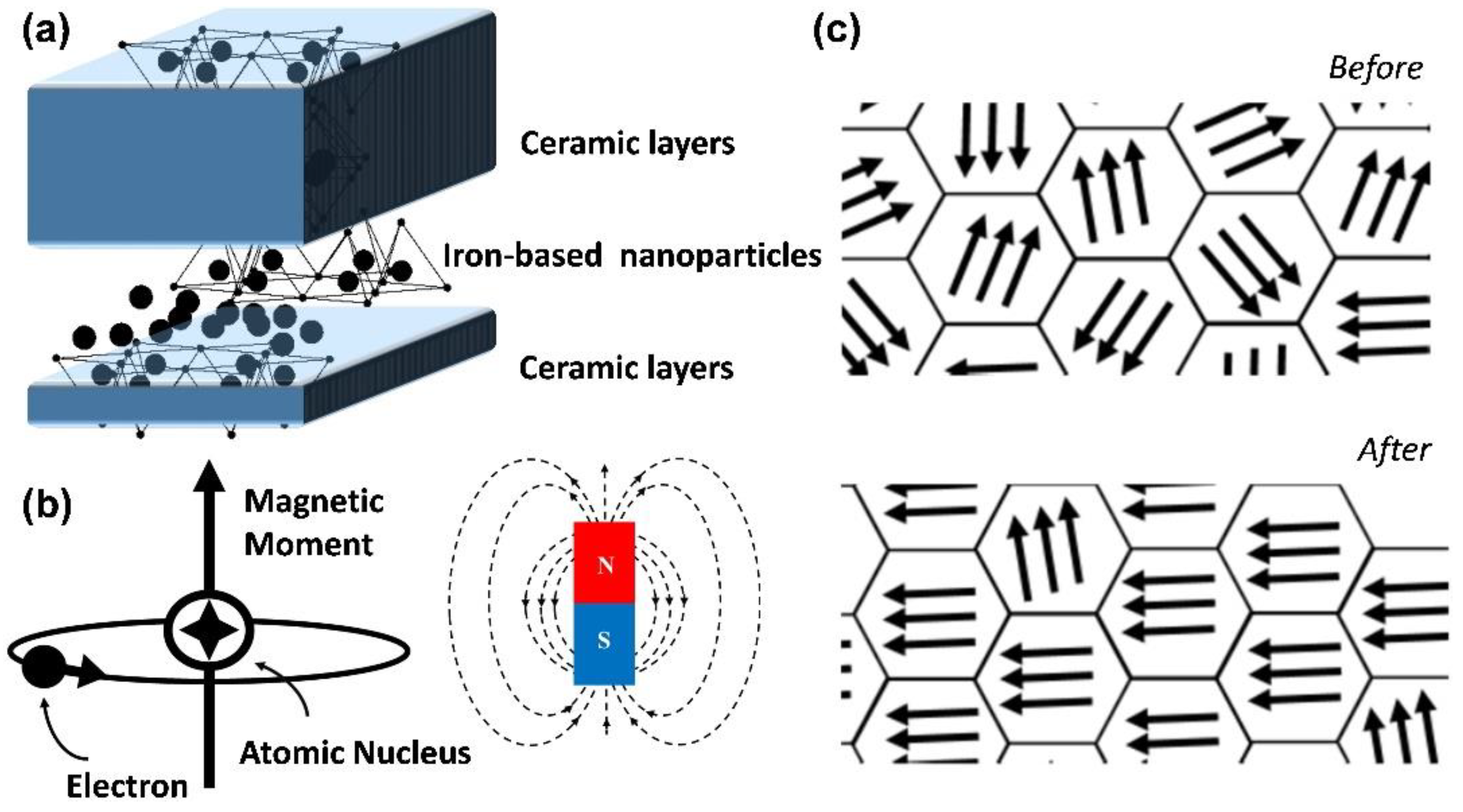 Pharmaceutics 14 02584 g001
