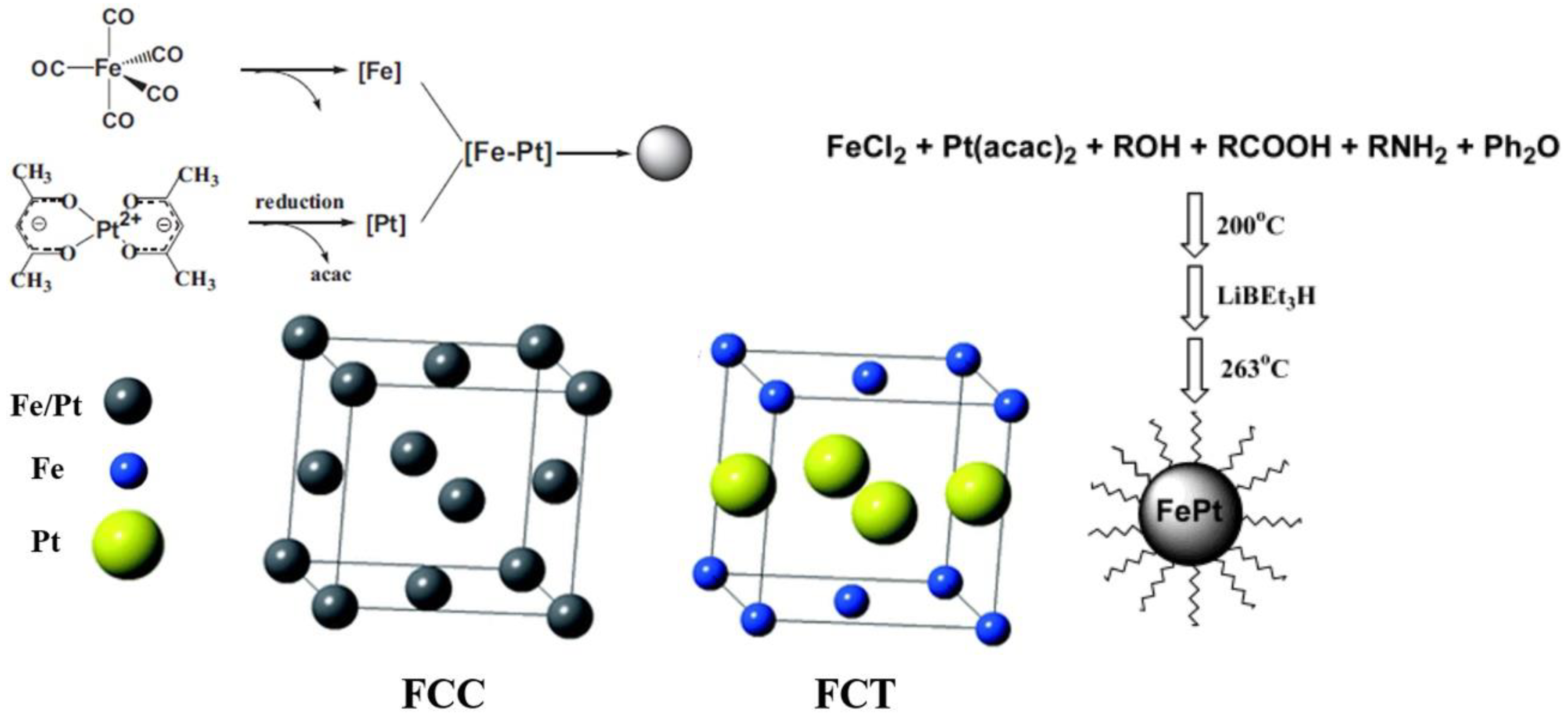 Pharmaceutics 14 02584 g004