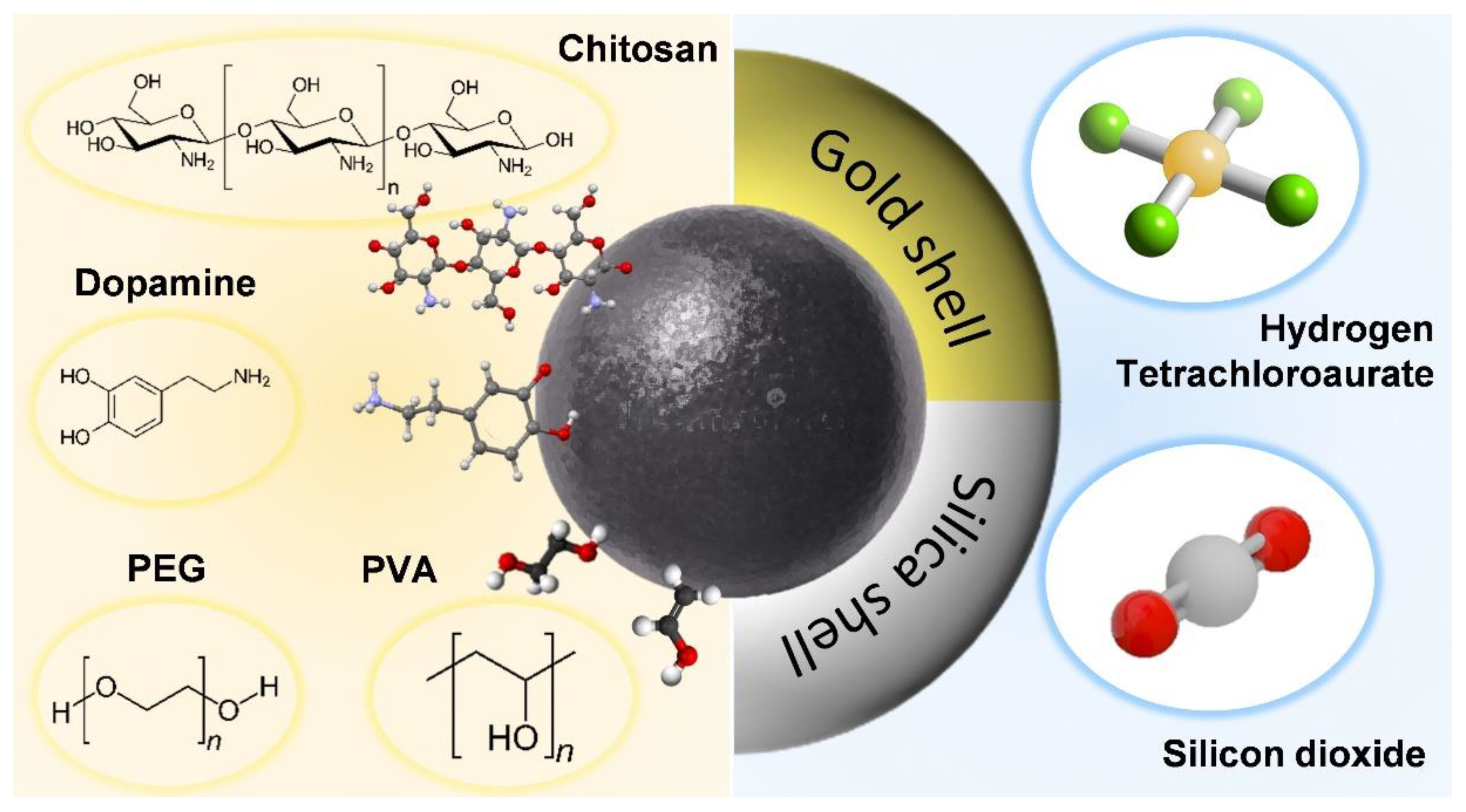 Pharmaceutics 14 02584 g005