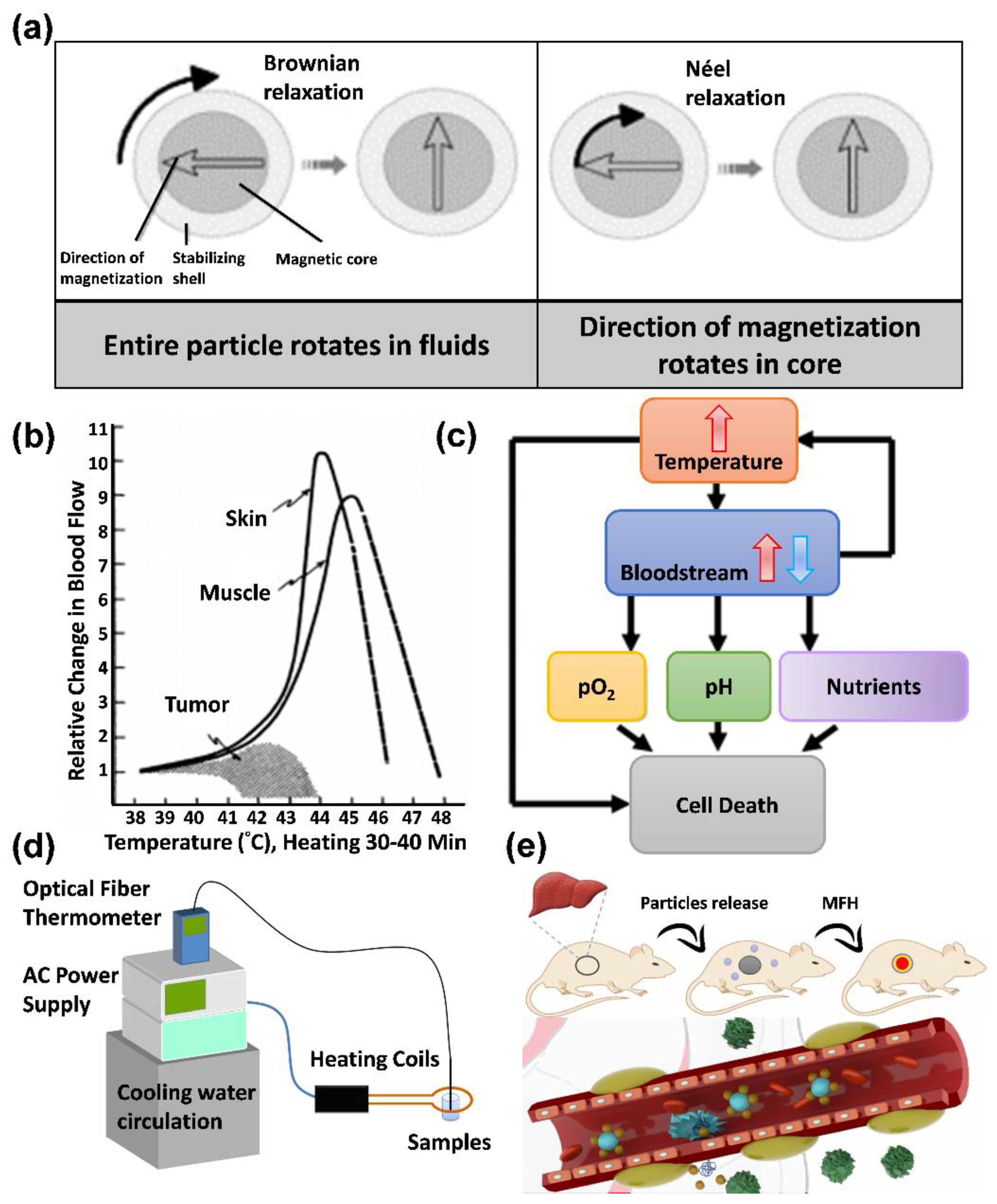 Pharmaceutics 14 02584 g008