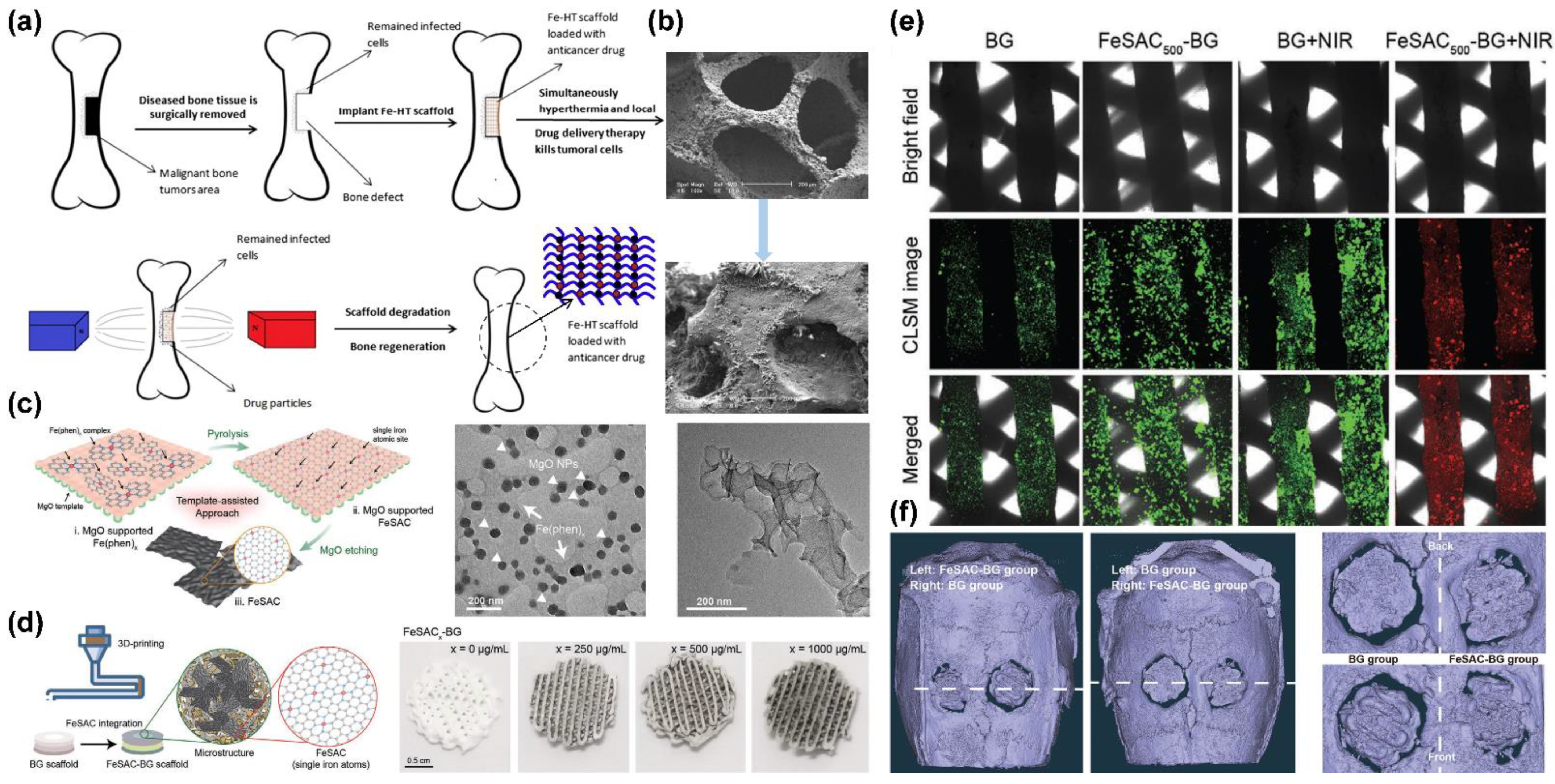 Pharmaceutics 14 02584 g009