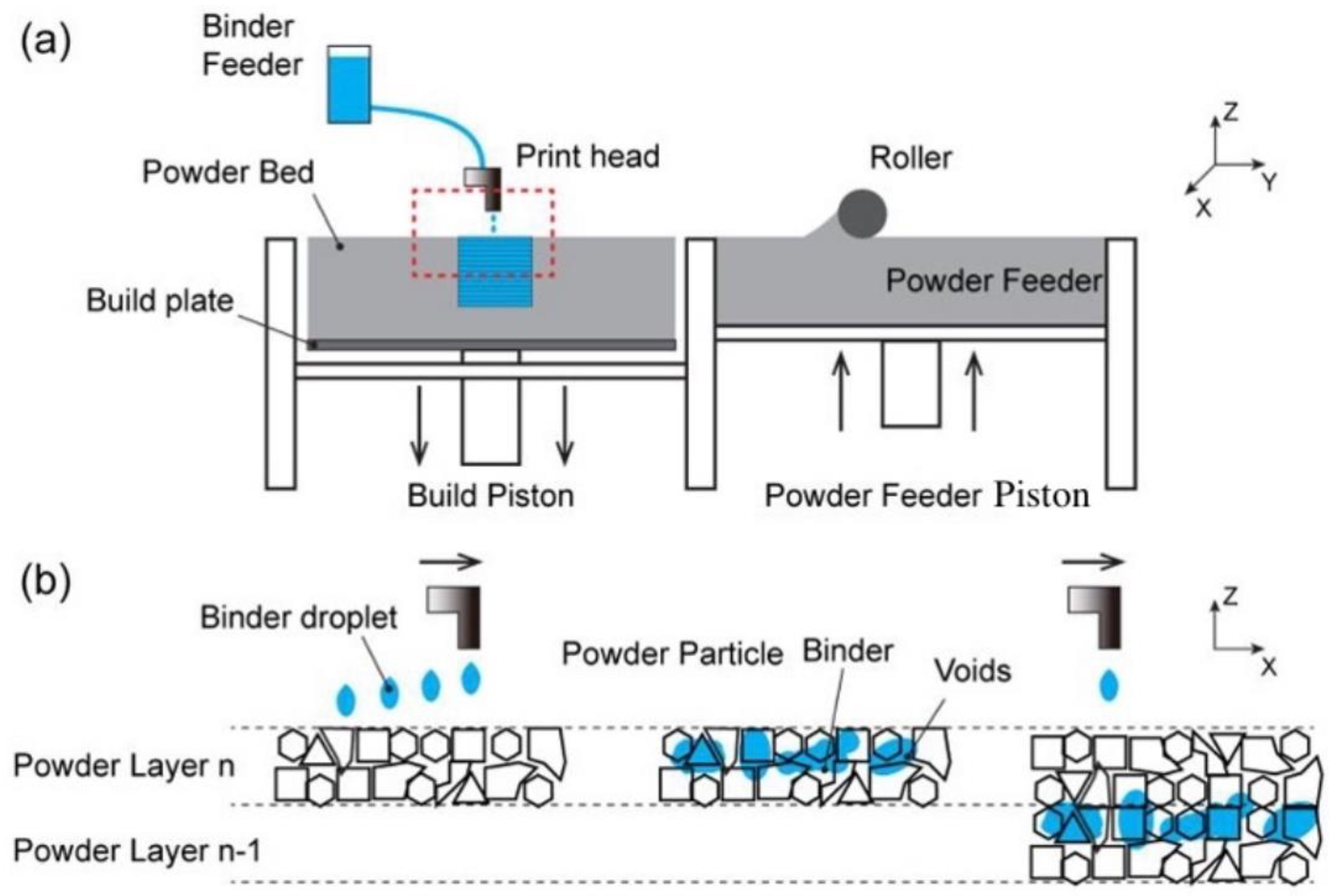 Pharmaceutics 14 02589 g002