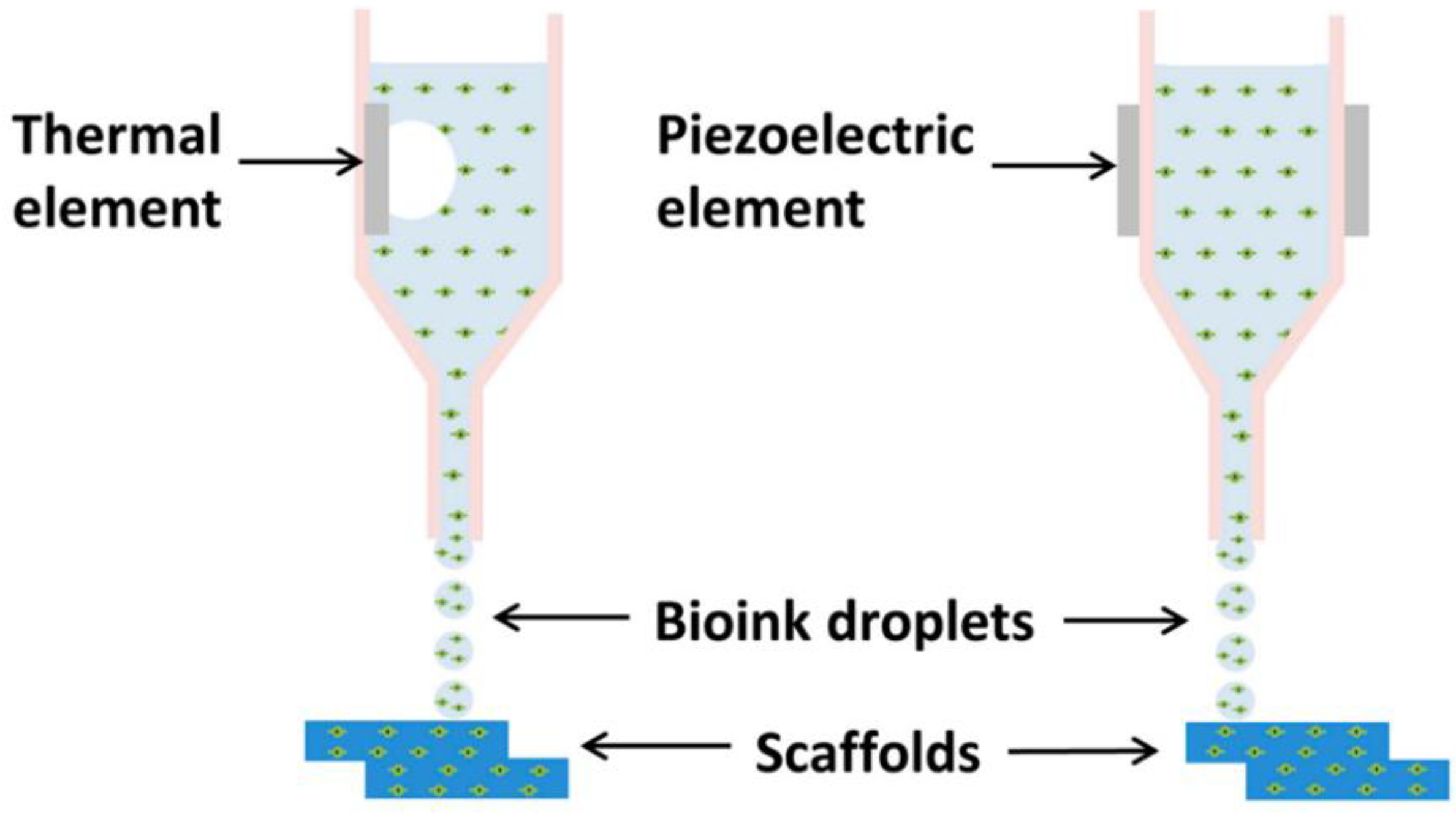 Pharmaceutics 14 02589 g003