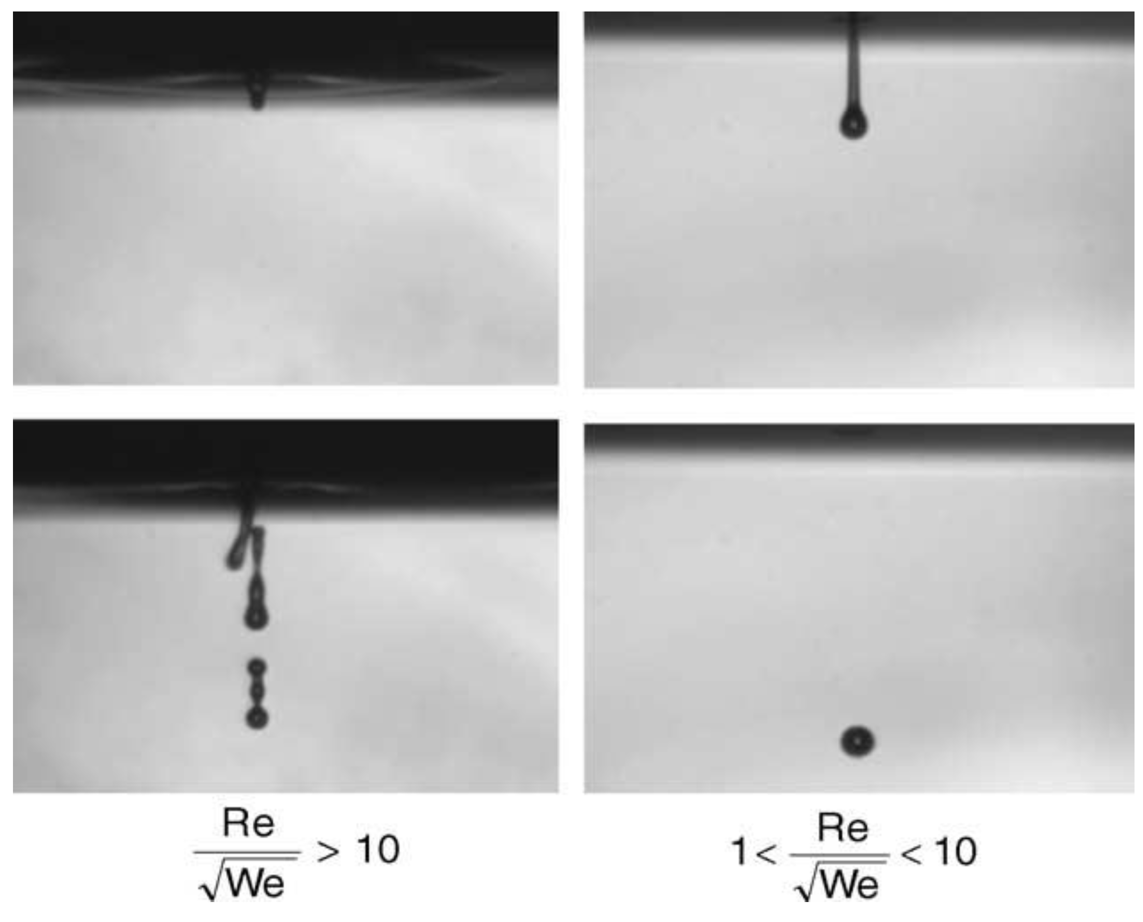Pharmaceutics 14 02589 g004