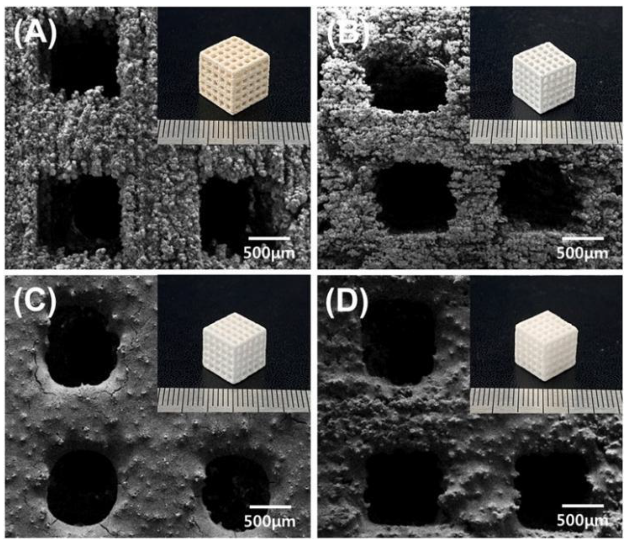 Pharmaceutics 14 02589 g014