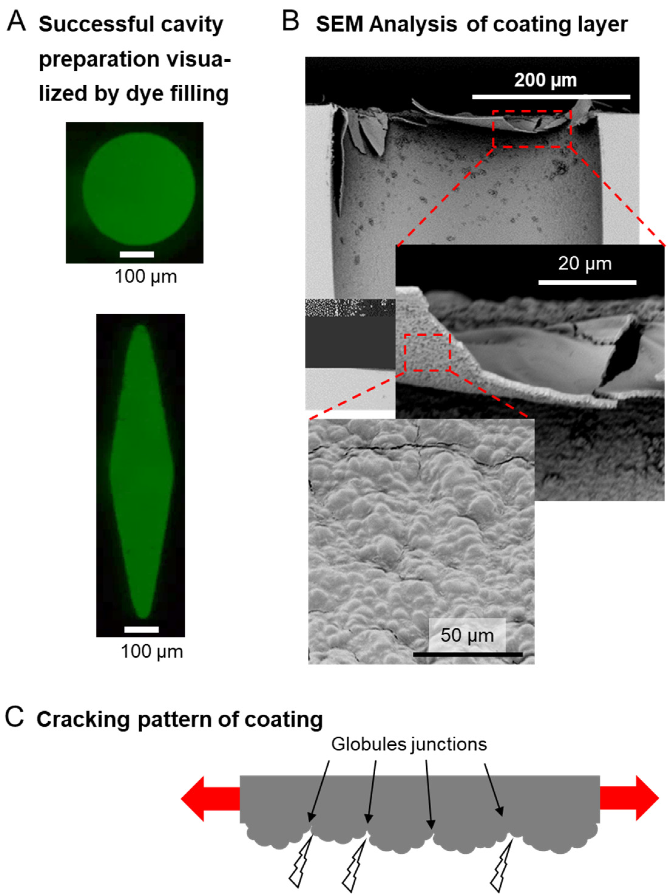 Pharmaceutics 14 02611 g005