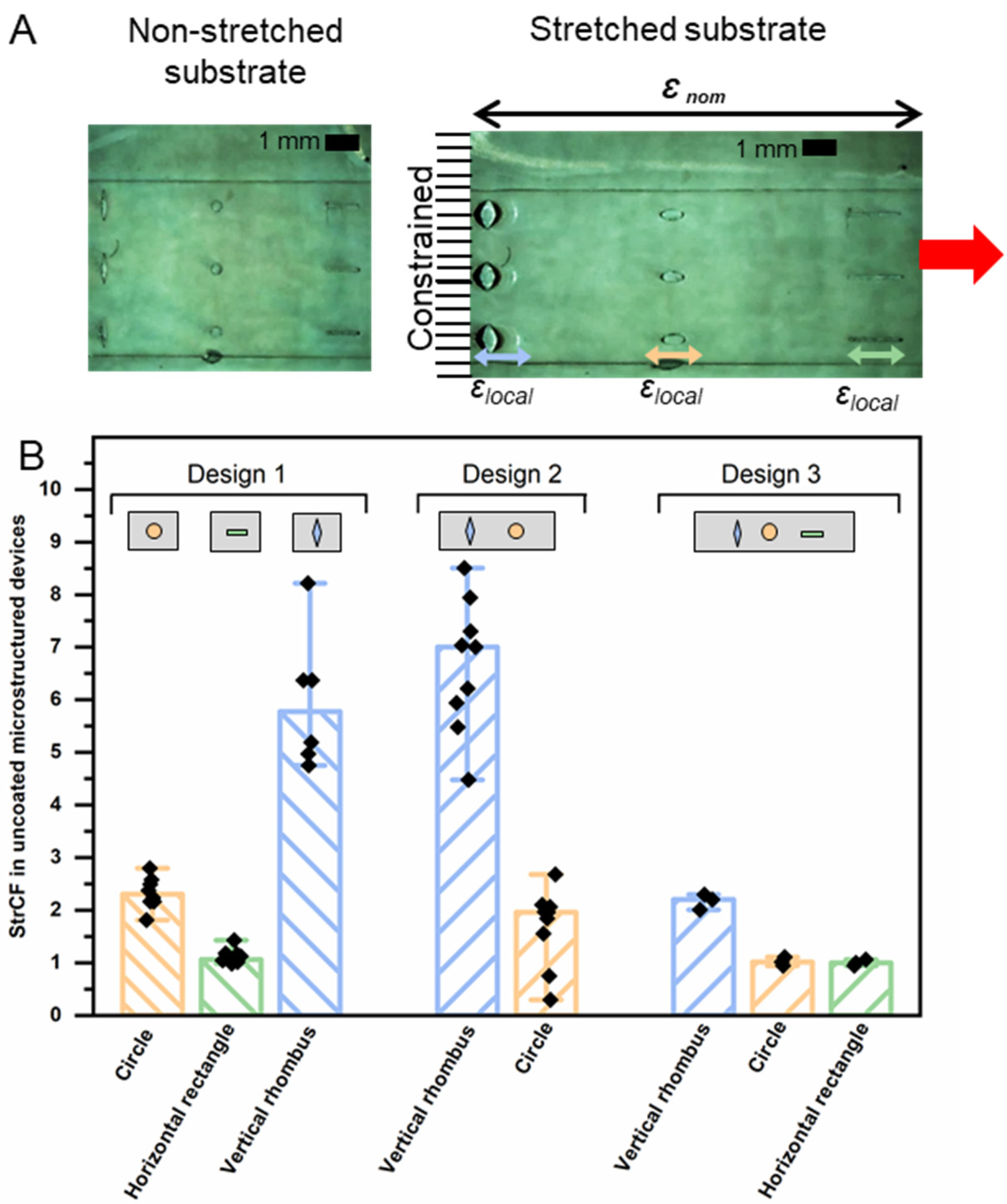 Pharmaceutics 14 02611 g006
