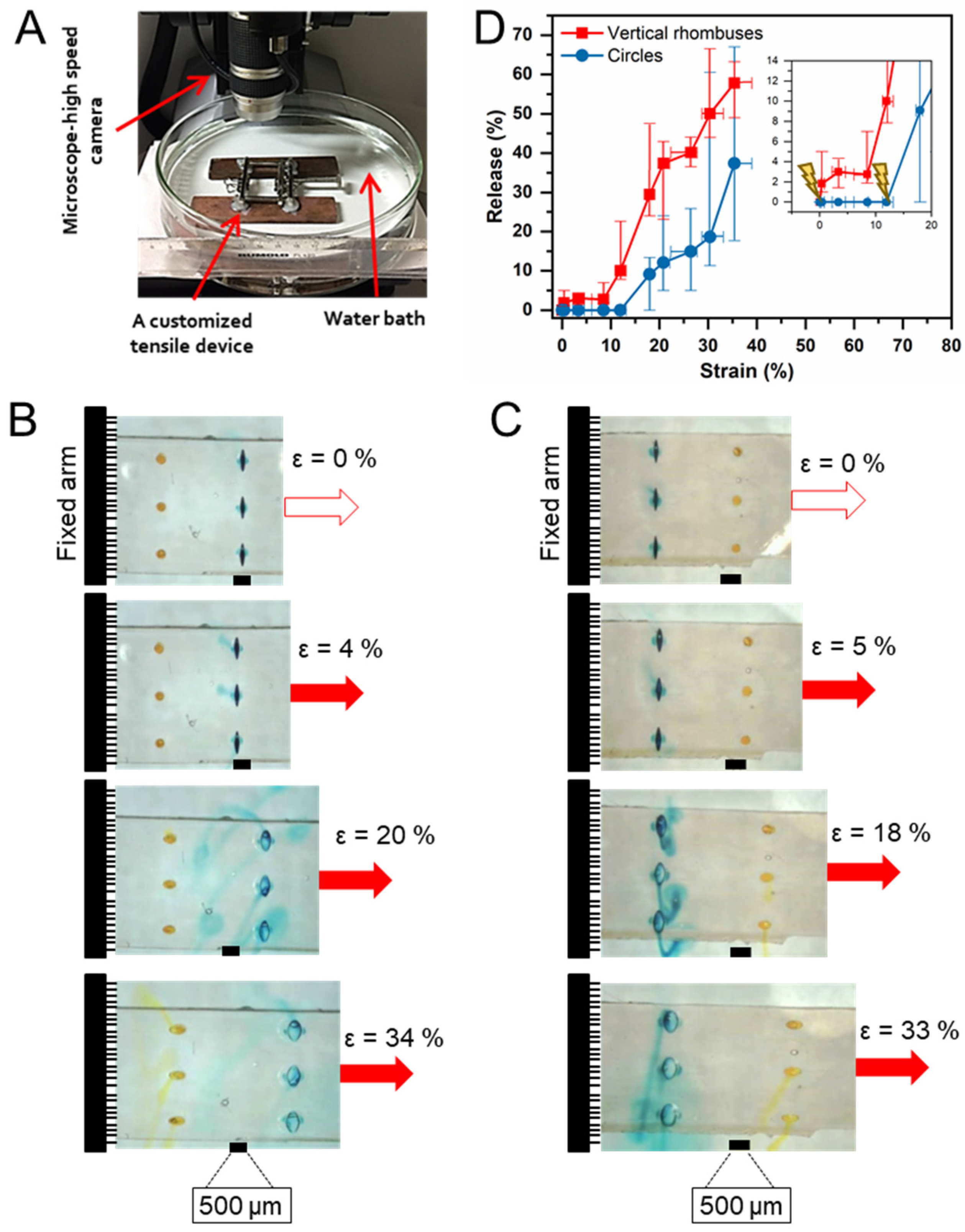 Pharmaceutics 14 02611 g007