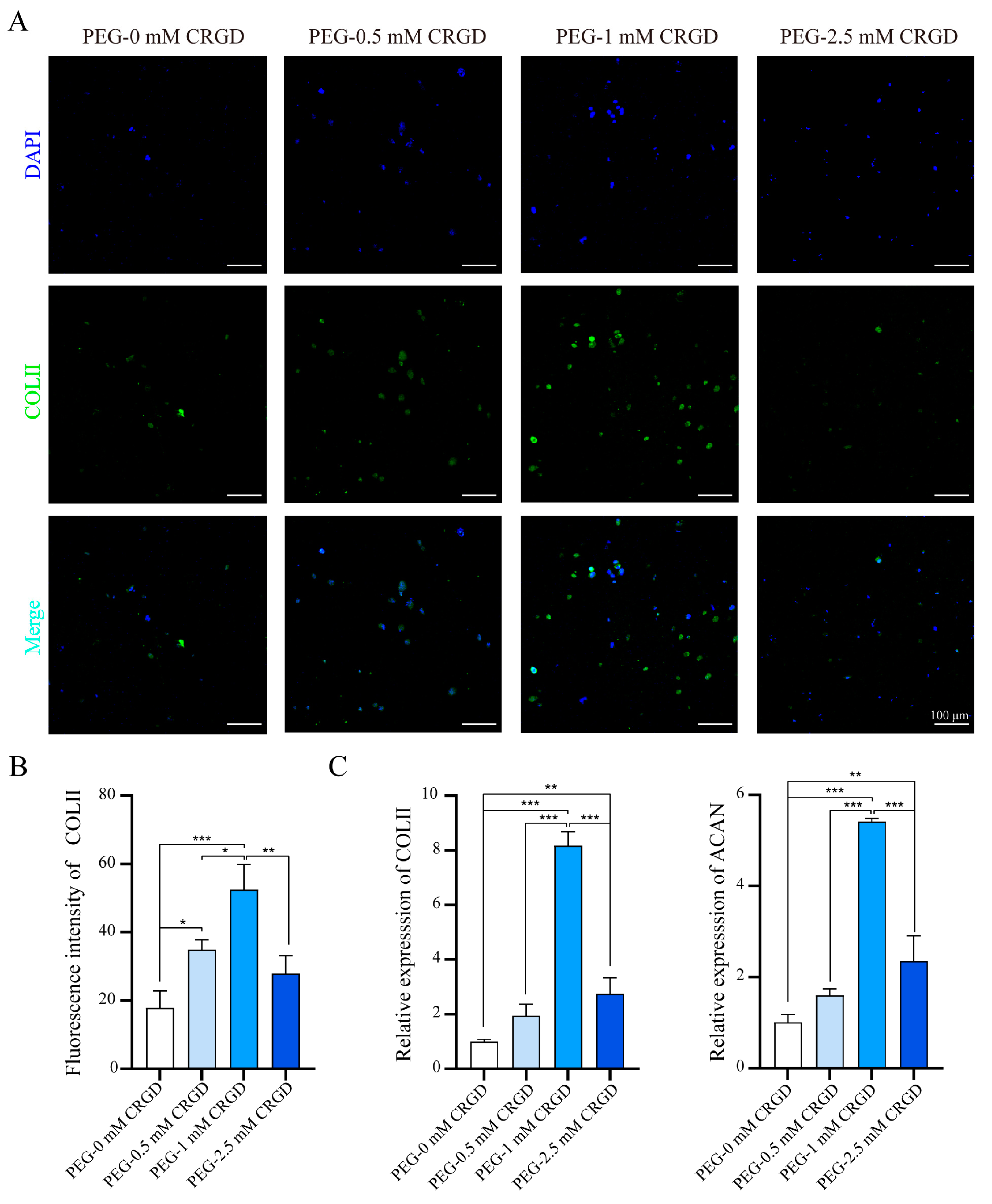 Pharmaceutics 14 02622 g004