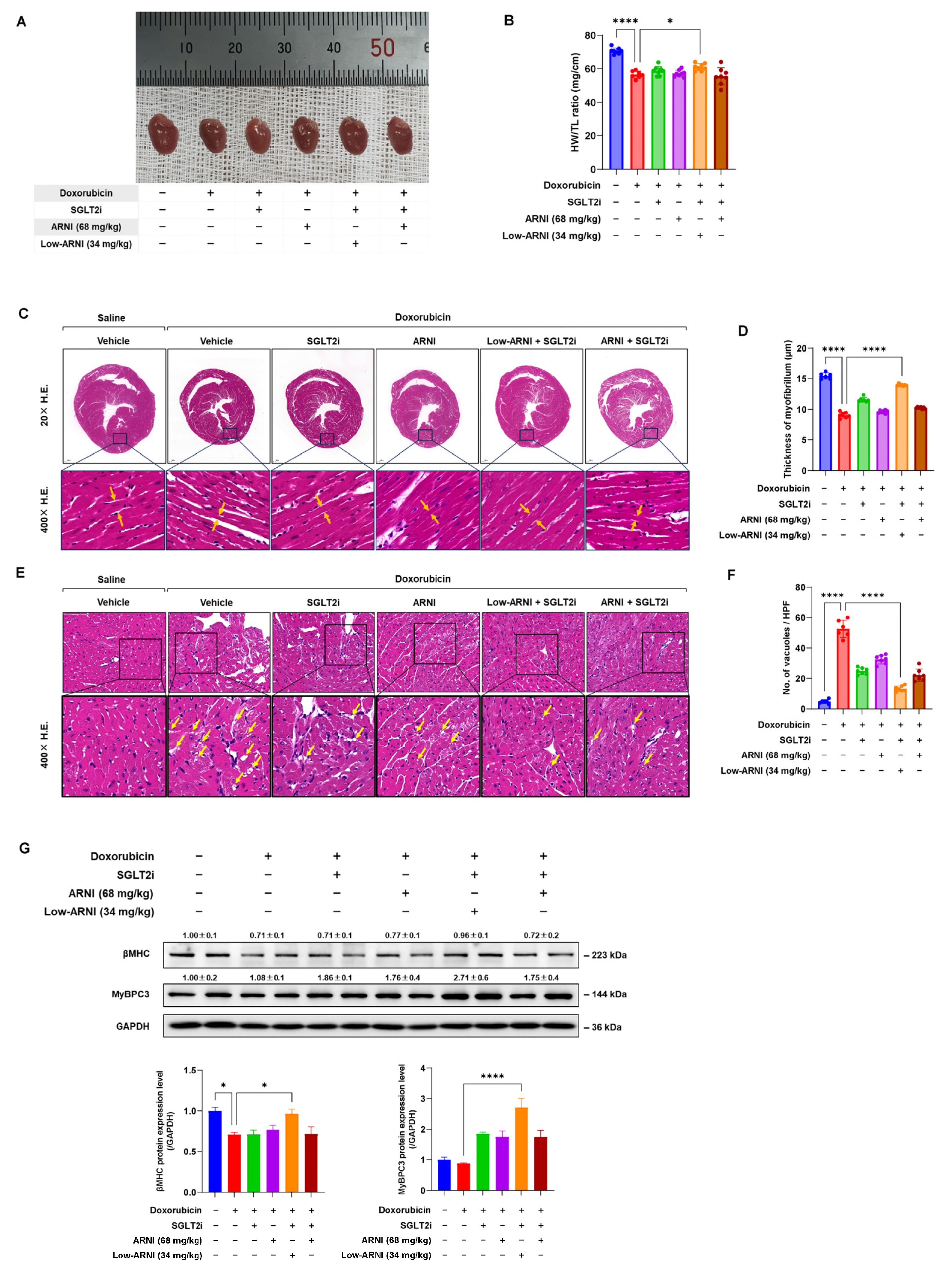 Pharmaceutics 14 02629 g003 Pharmaceutics 14 02629 g003