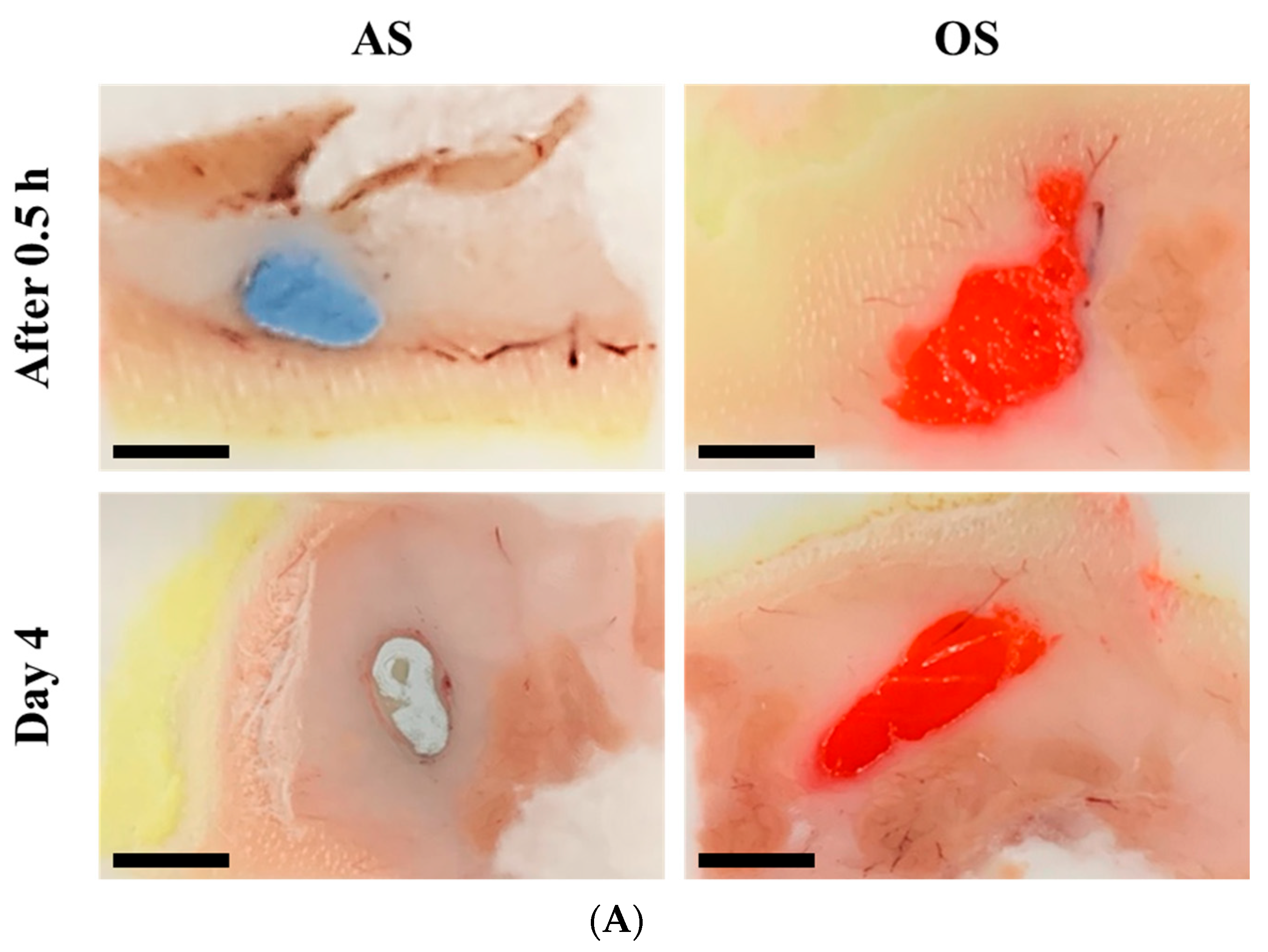 Pharmaceutics 14 02630 g004a