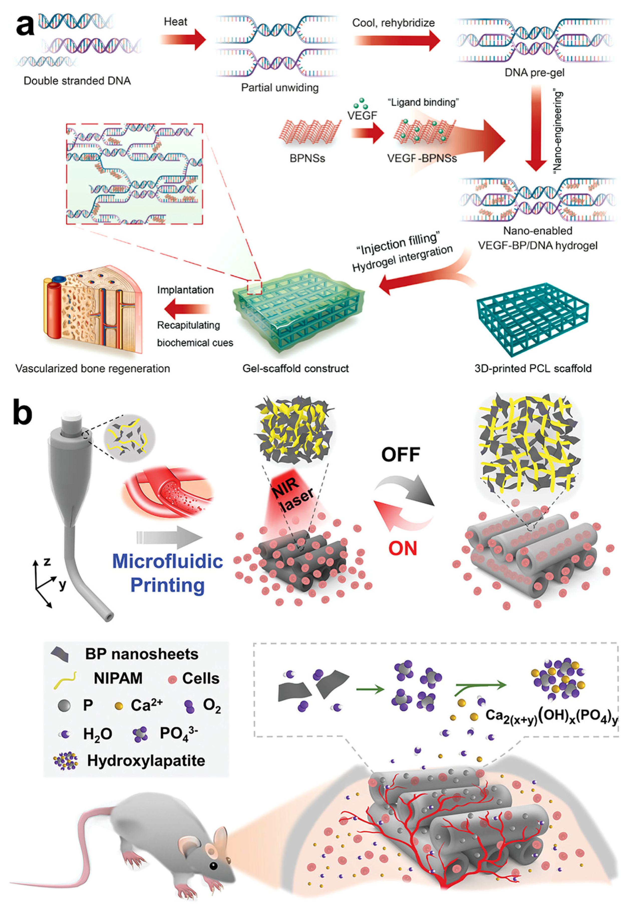 Pharmaceutics 14 02634 g005