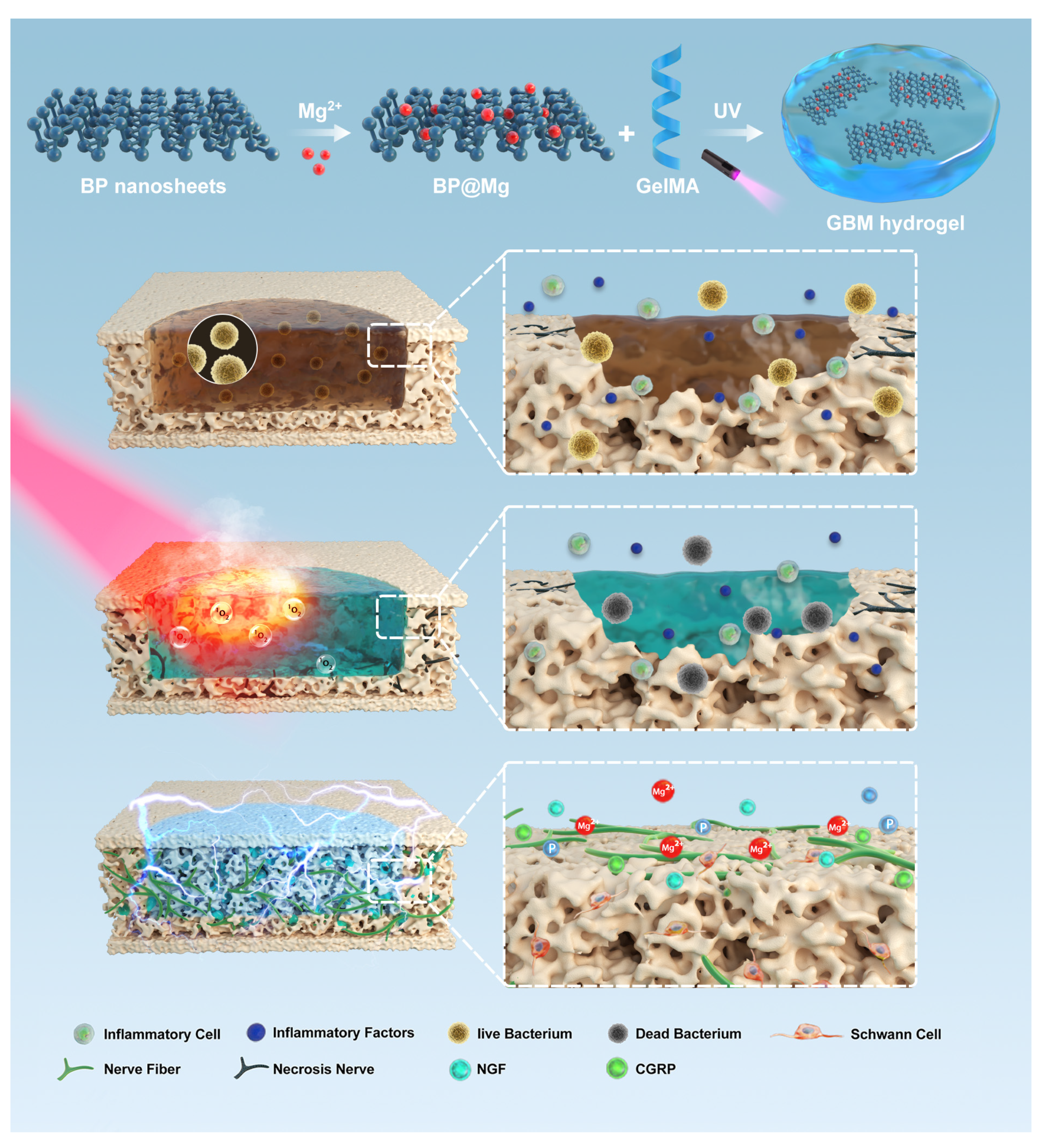 Pharmaceutics 14 02634 g006