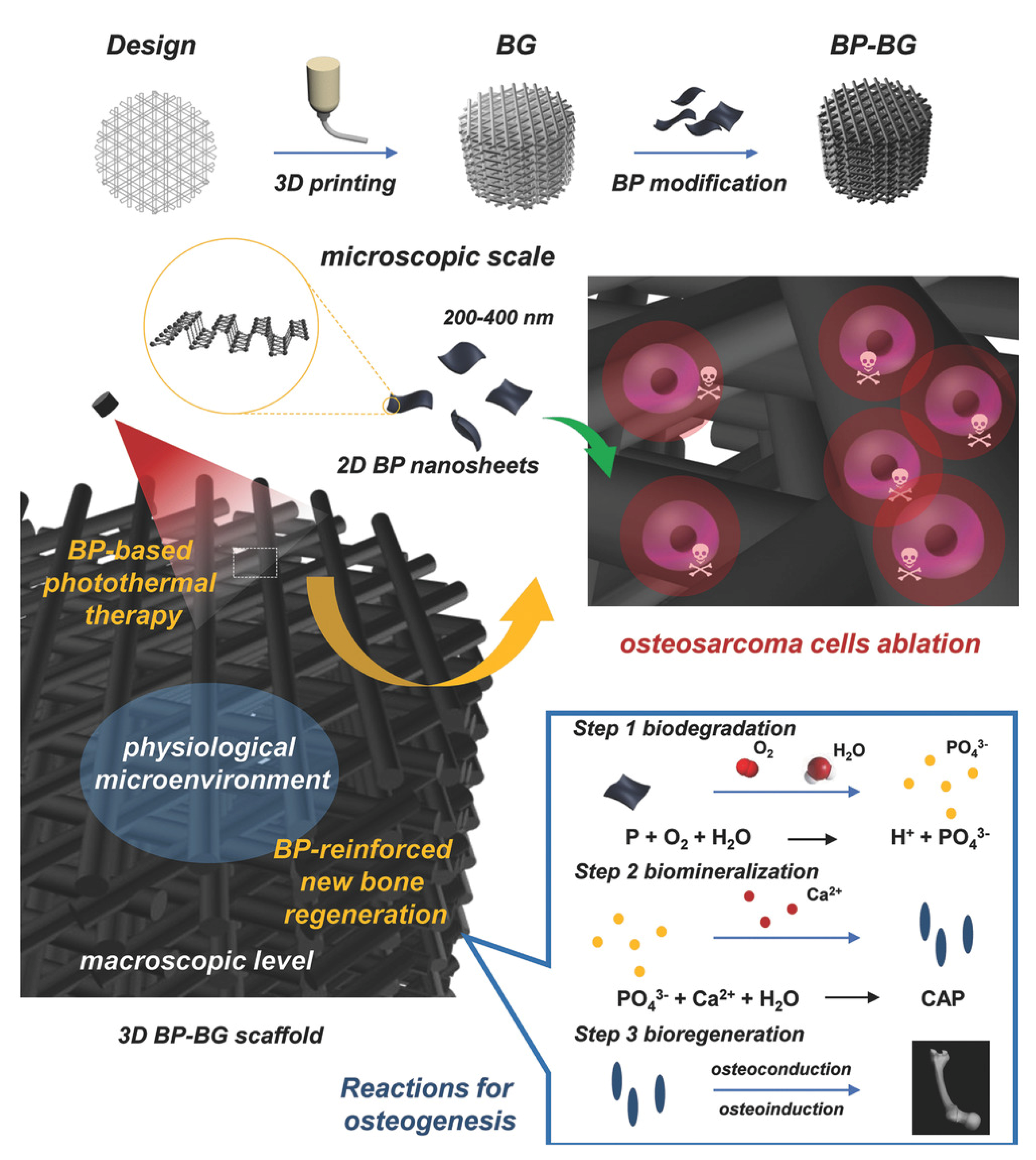 Pharmaceutics 14 02634 g007
