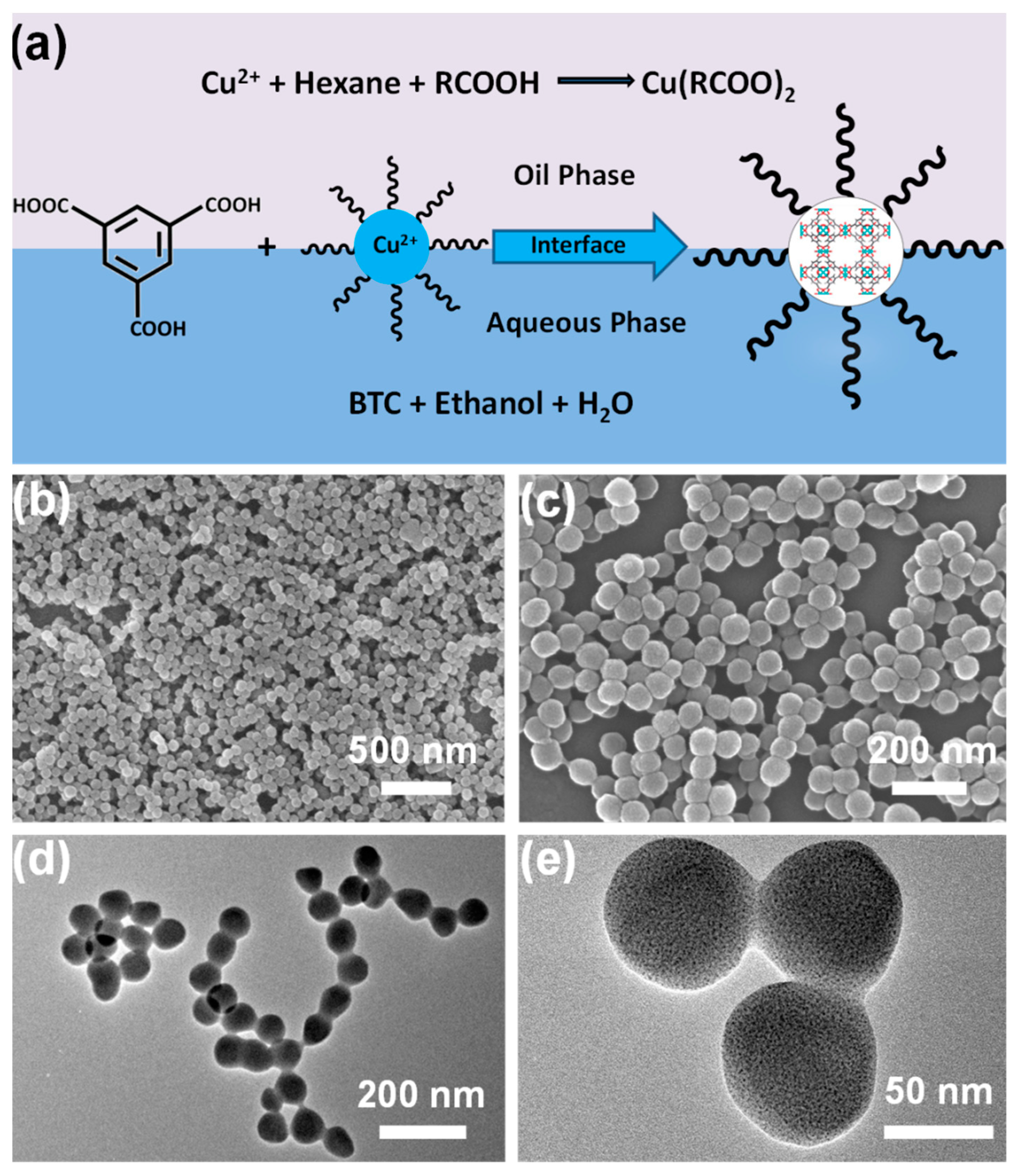 Pharmaceutics 14 02641 g002 Pharmaceutics 14 02641 g002