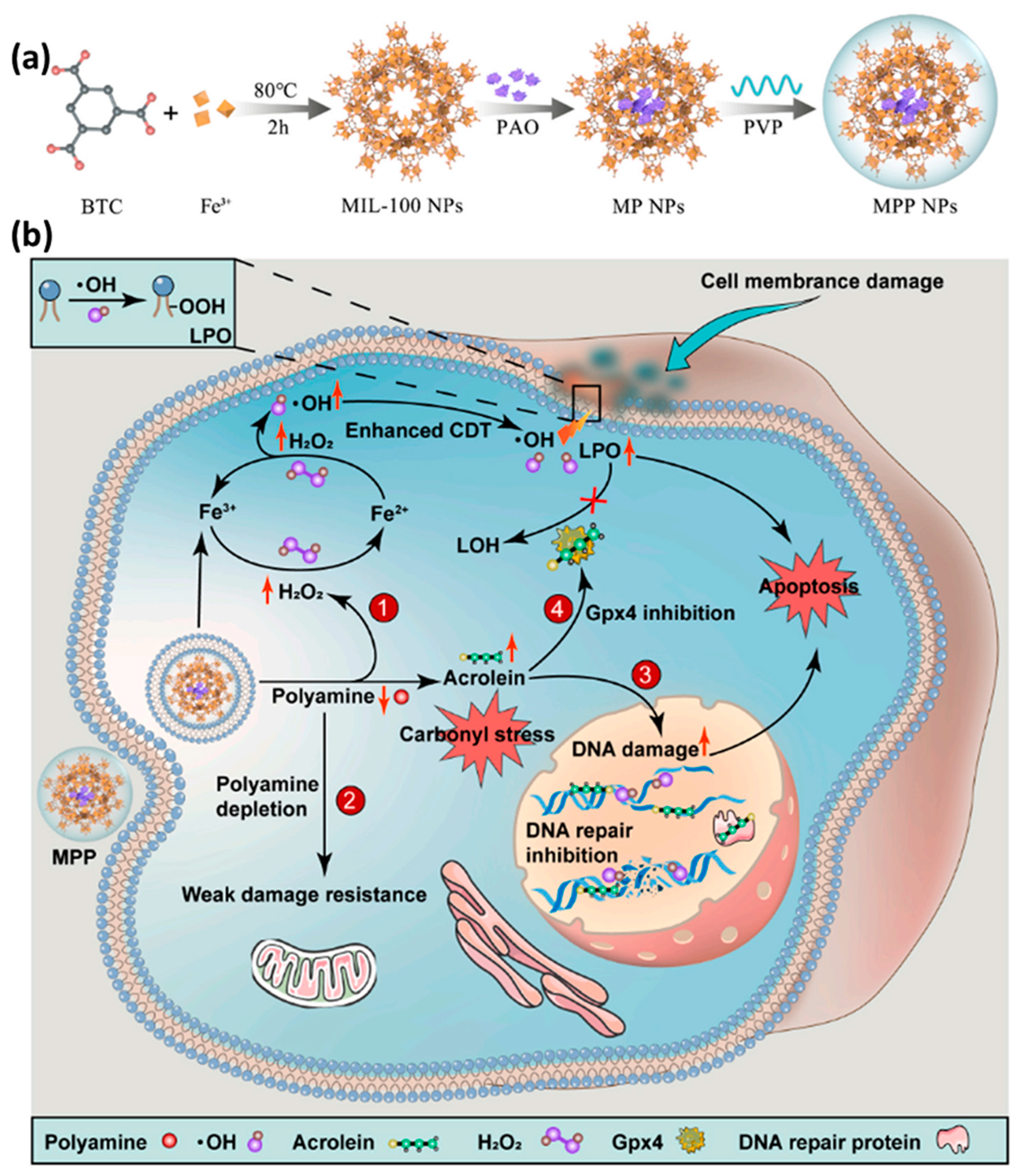 Pharmaceutics 14 02641 g013 Pharmaceutics 14 02641 g013