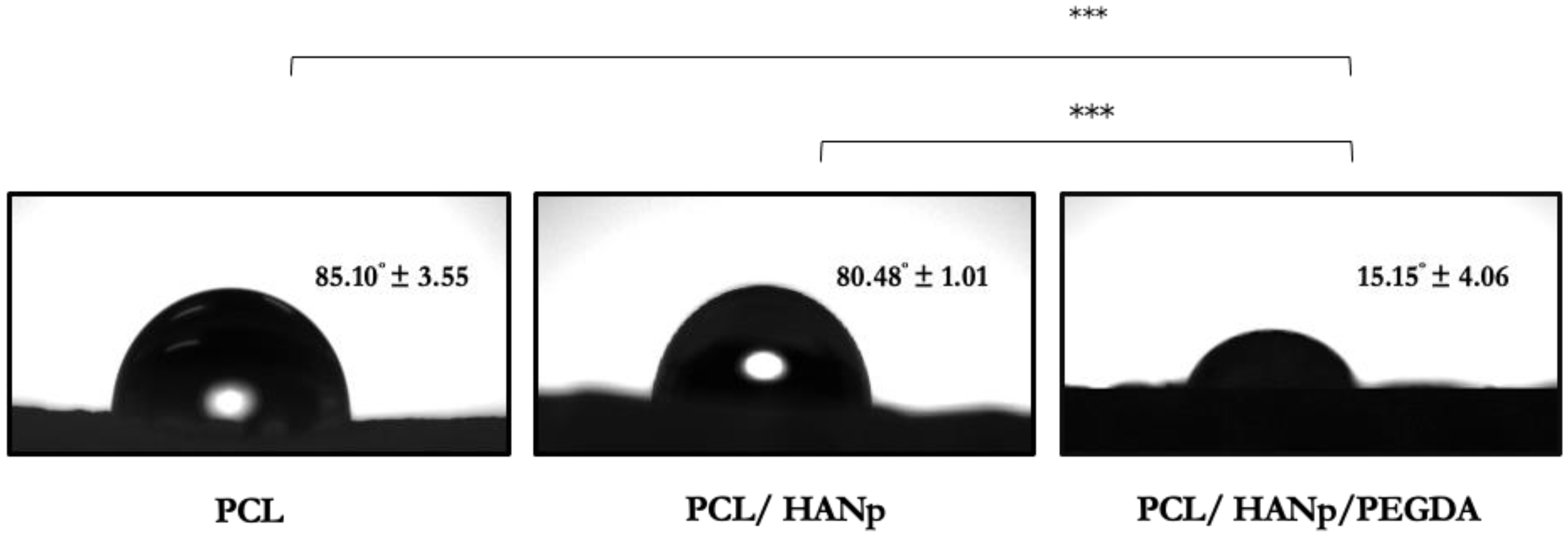 Pharmaceutics 14 02643 g004 Pharmaceutics 14 02643 g004