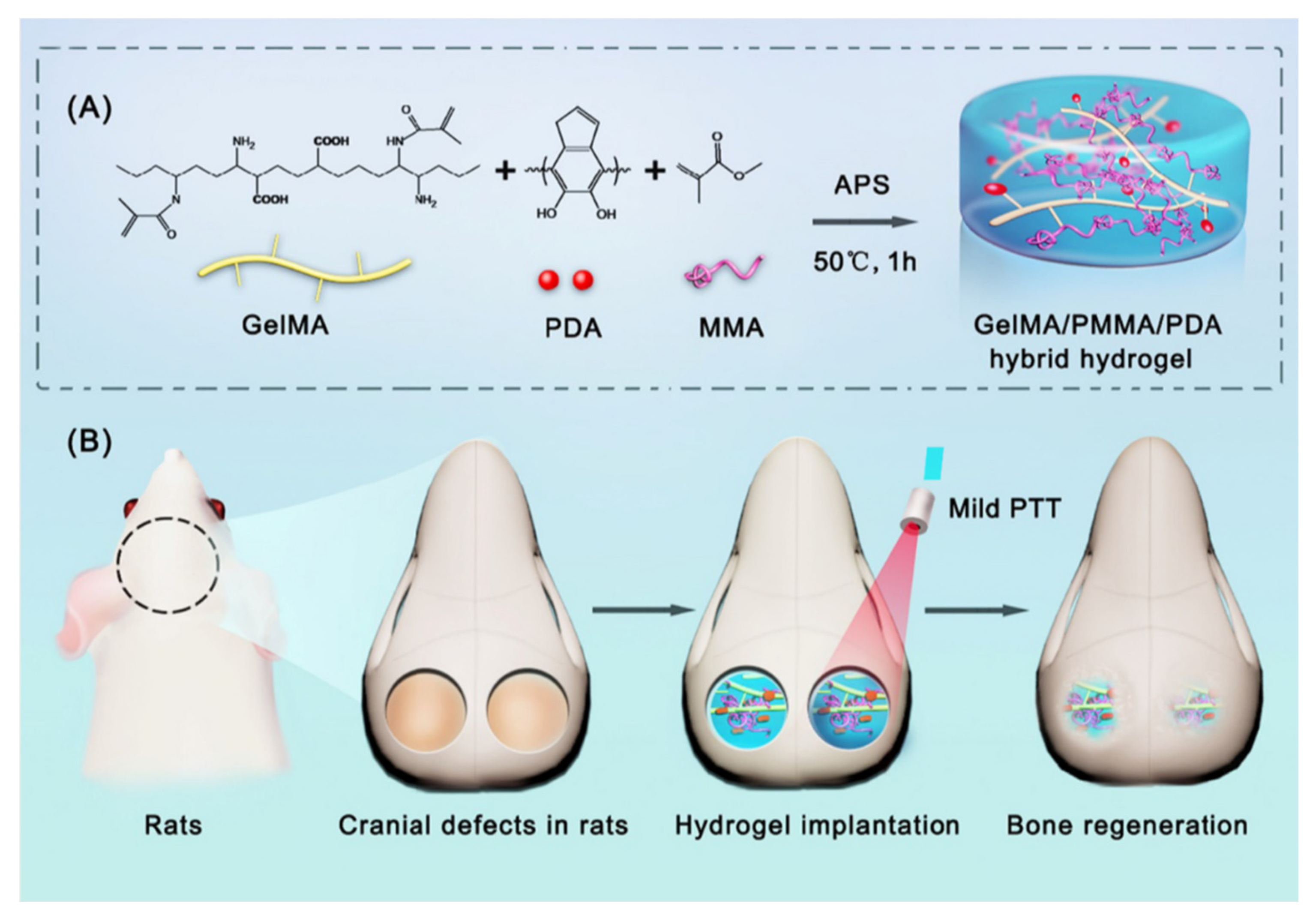 Pharmaceutics 14 02645 g003 Pharmaceutics 14 02645 g003