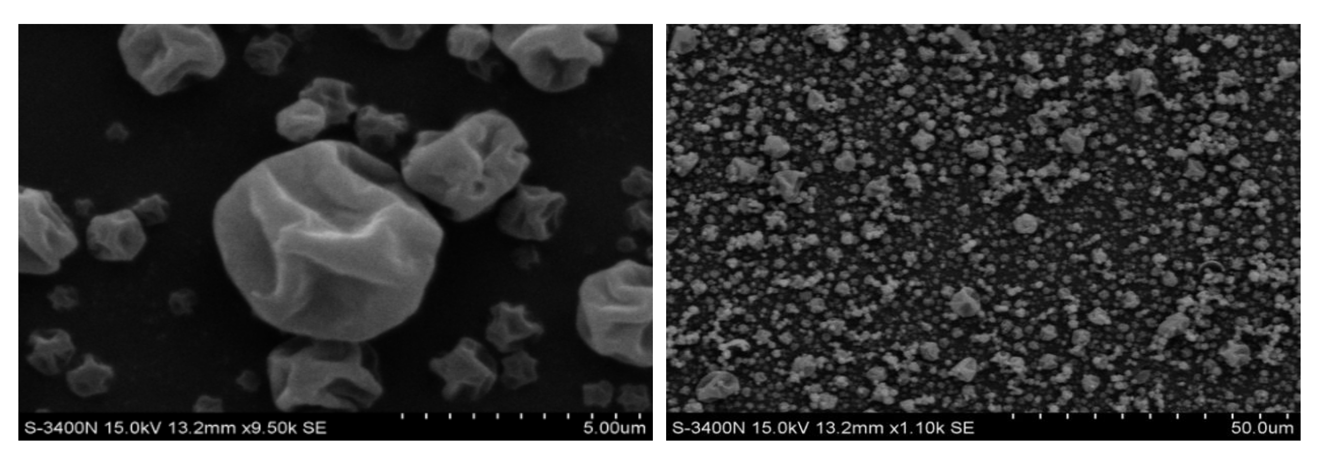 Pharmaceutics 14 02646 g001