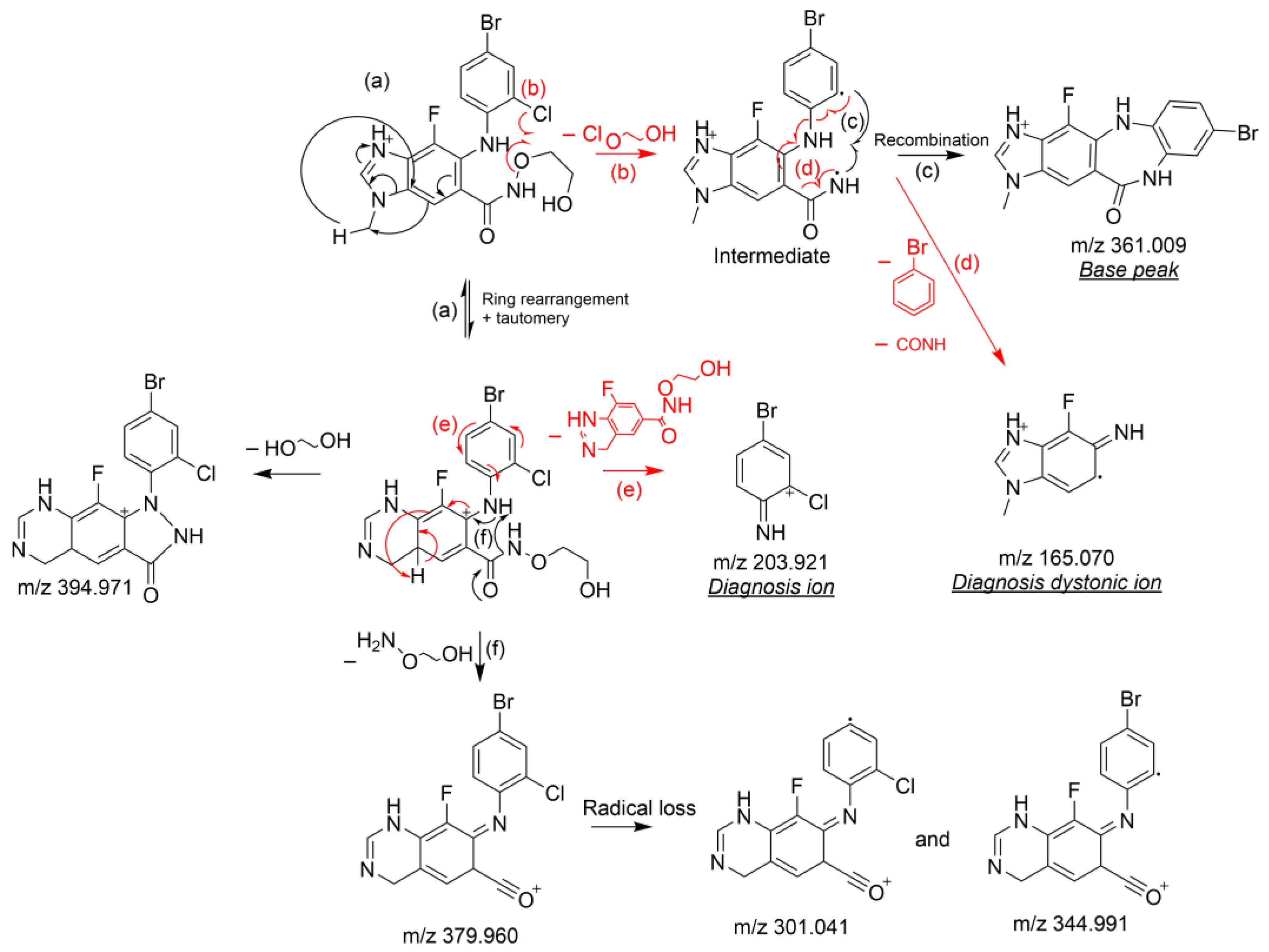 Pharmaceutics 14 02651 sch001 Pharmaceutics 14 02651 sch001
